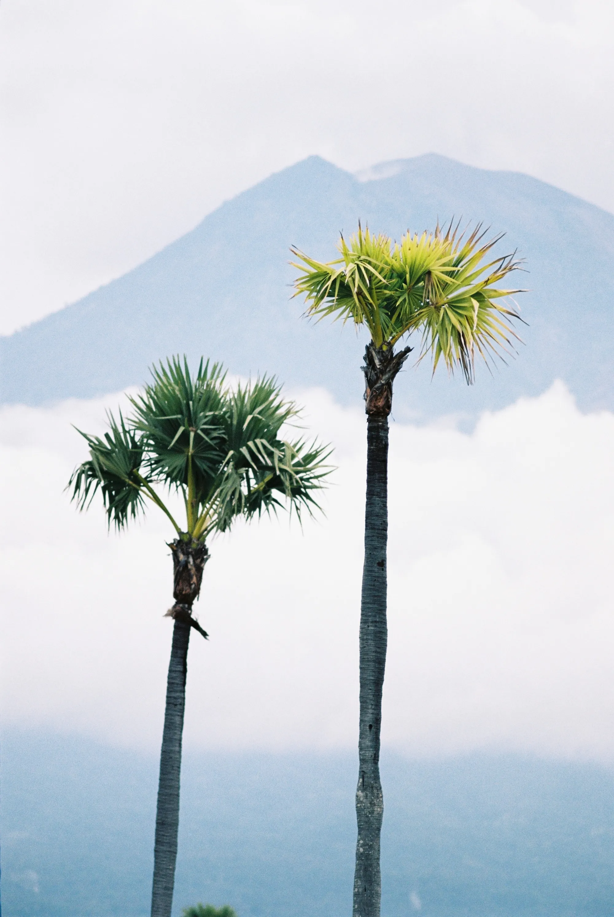 bali-2022, frame 72