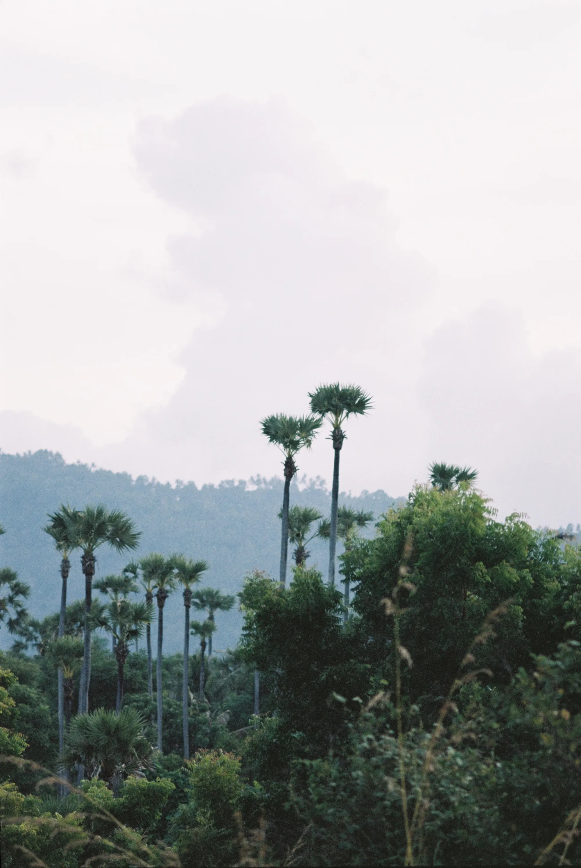 bali-2022, frame 73