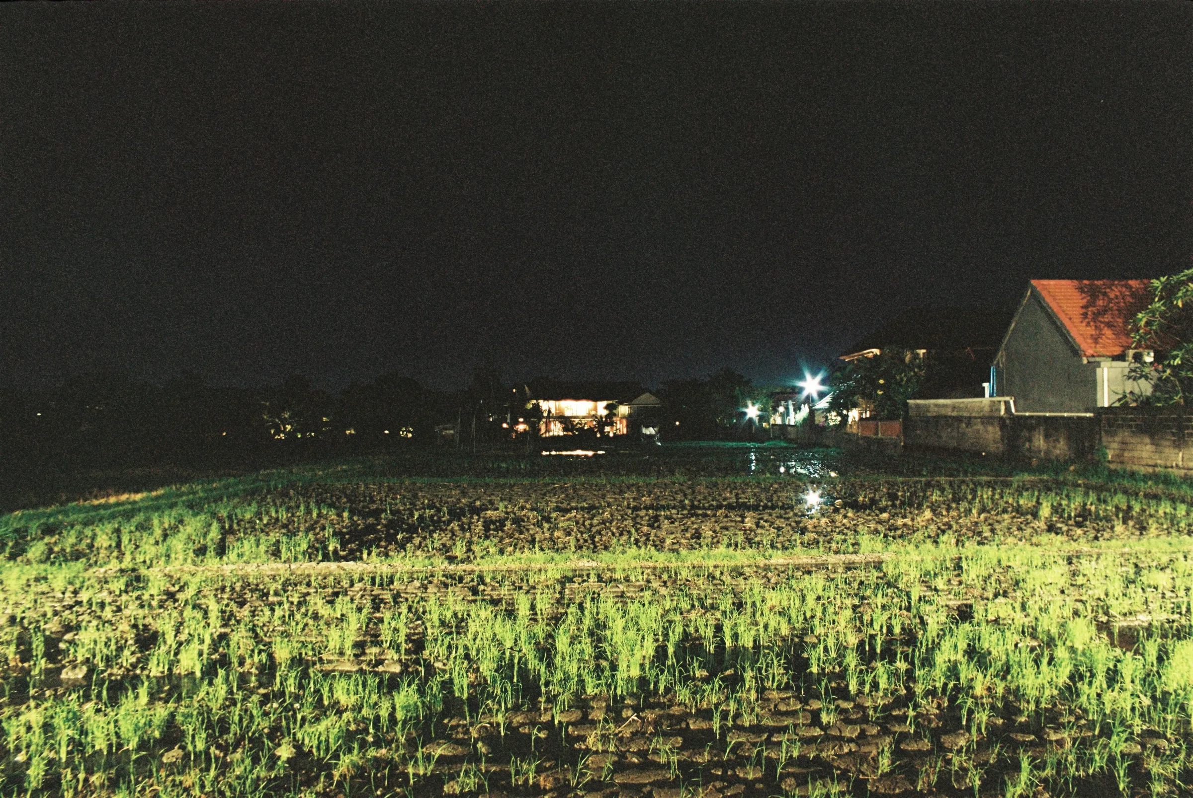 bali-2022, frame 12