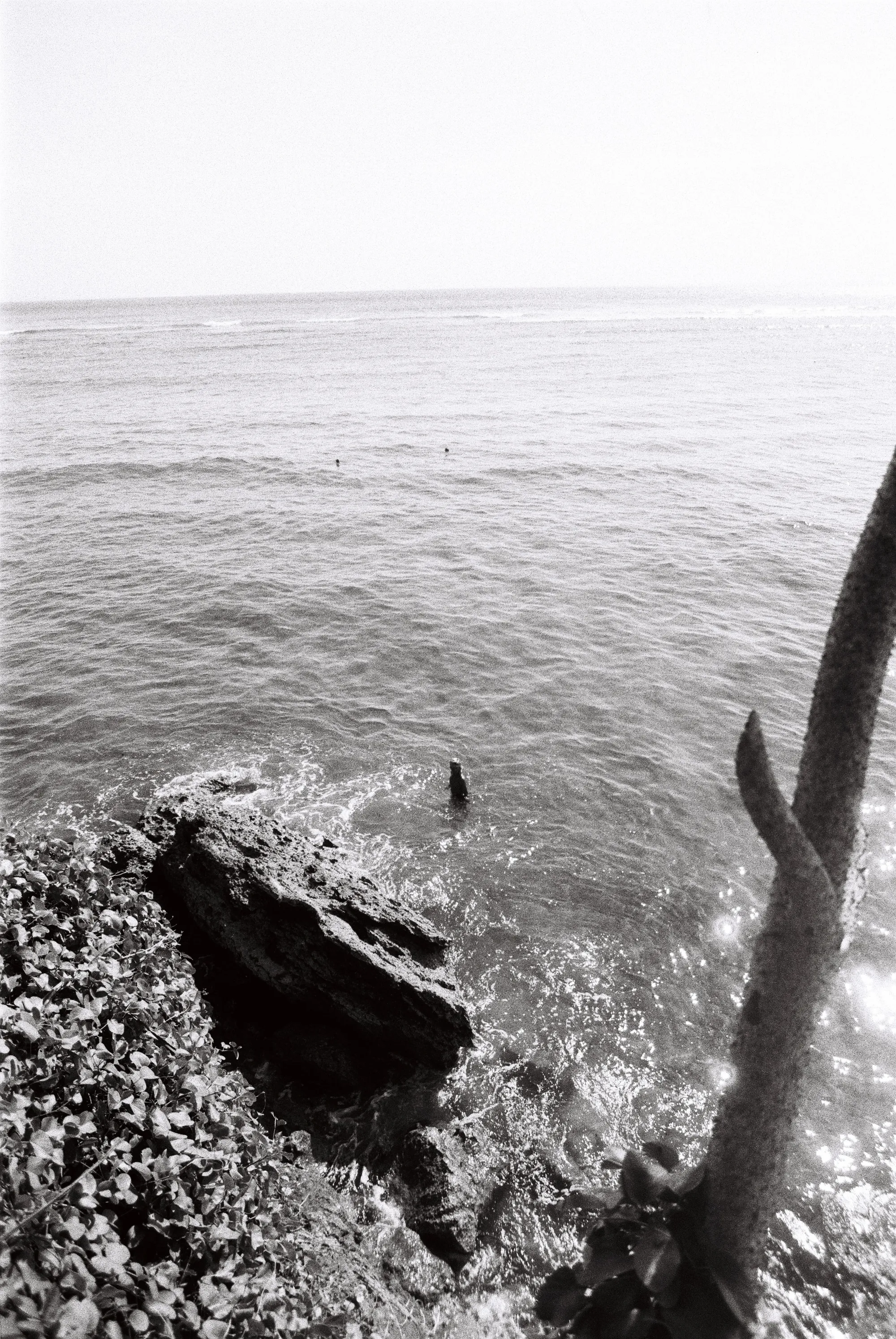 bali-2022, frame 93