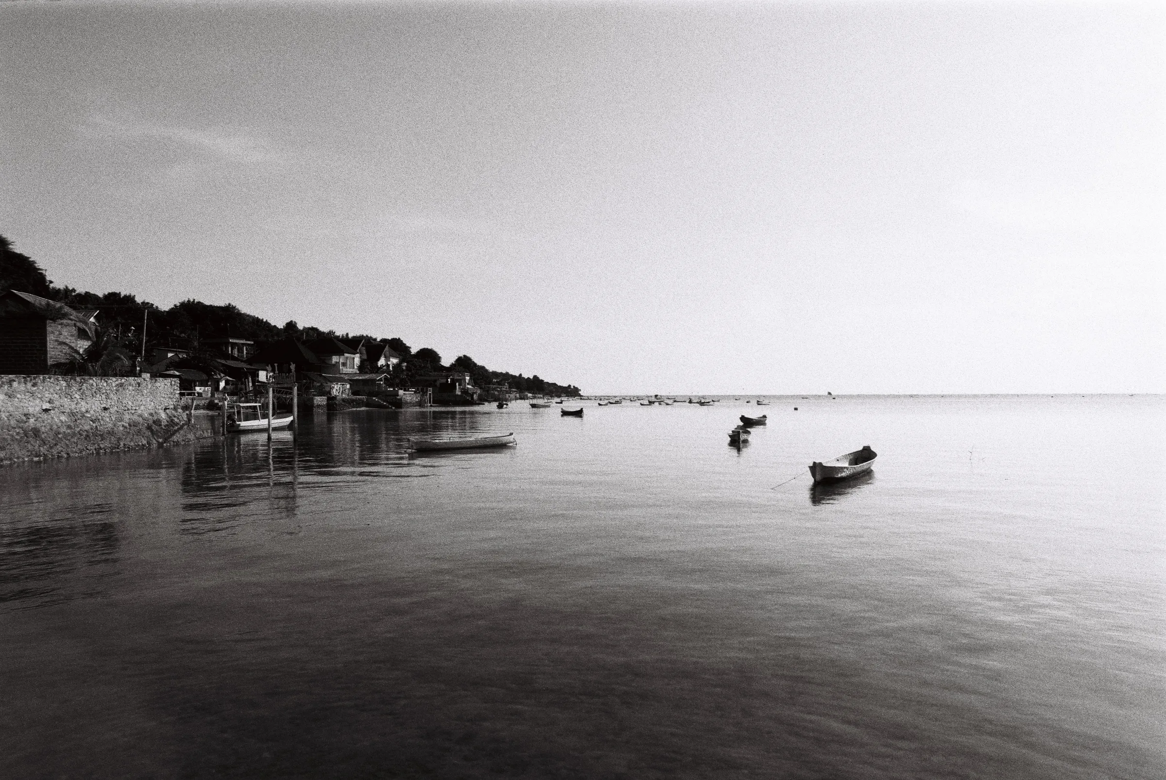 bali-2022, frame 91