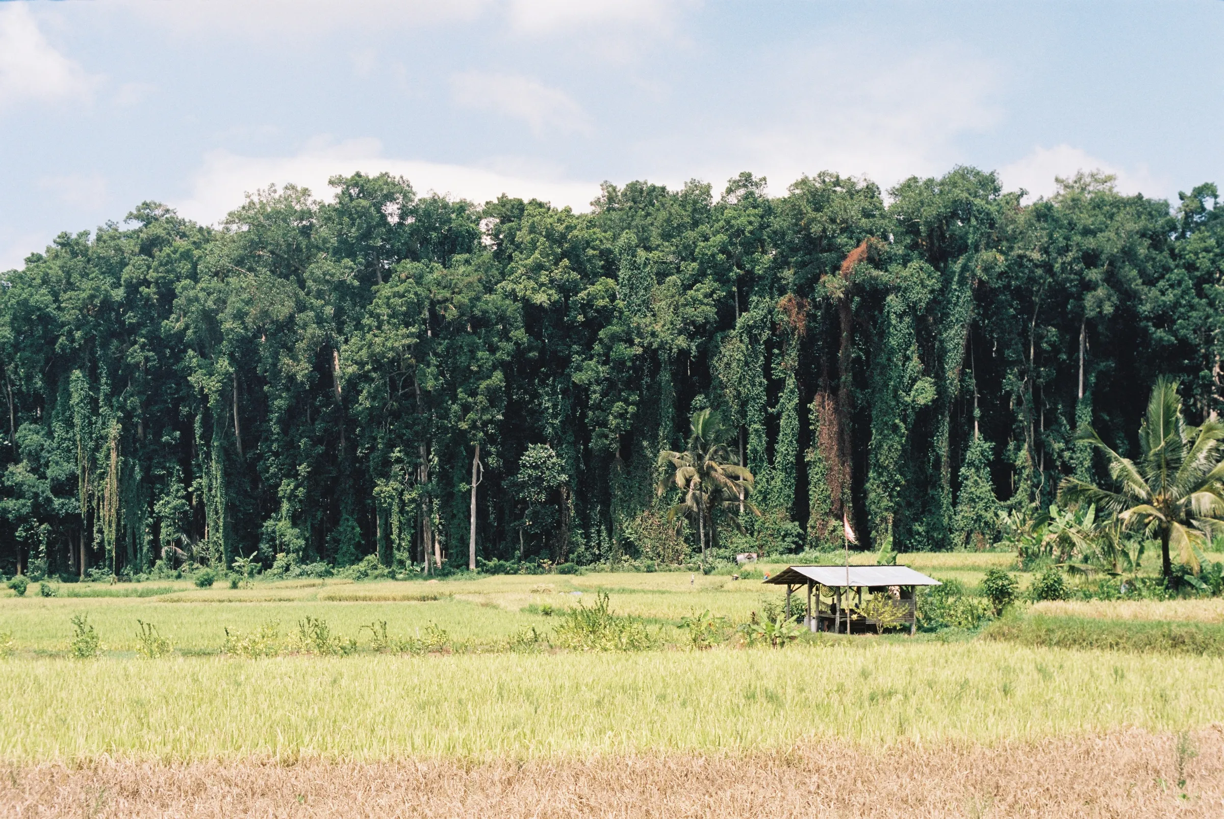 bali-2022, frame 54