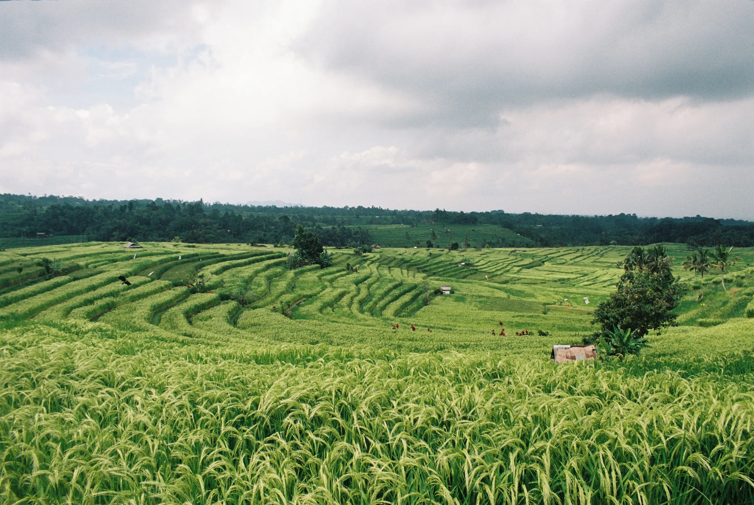 bali-2022, frame 55