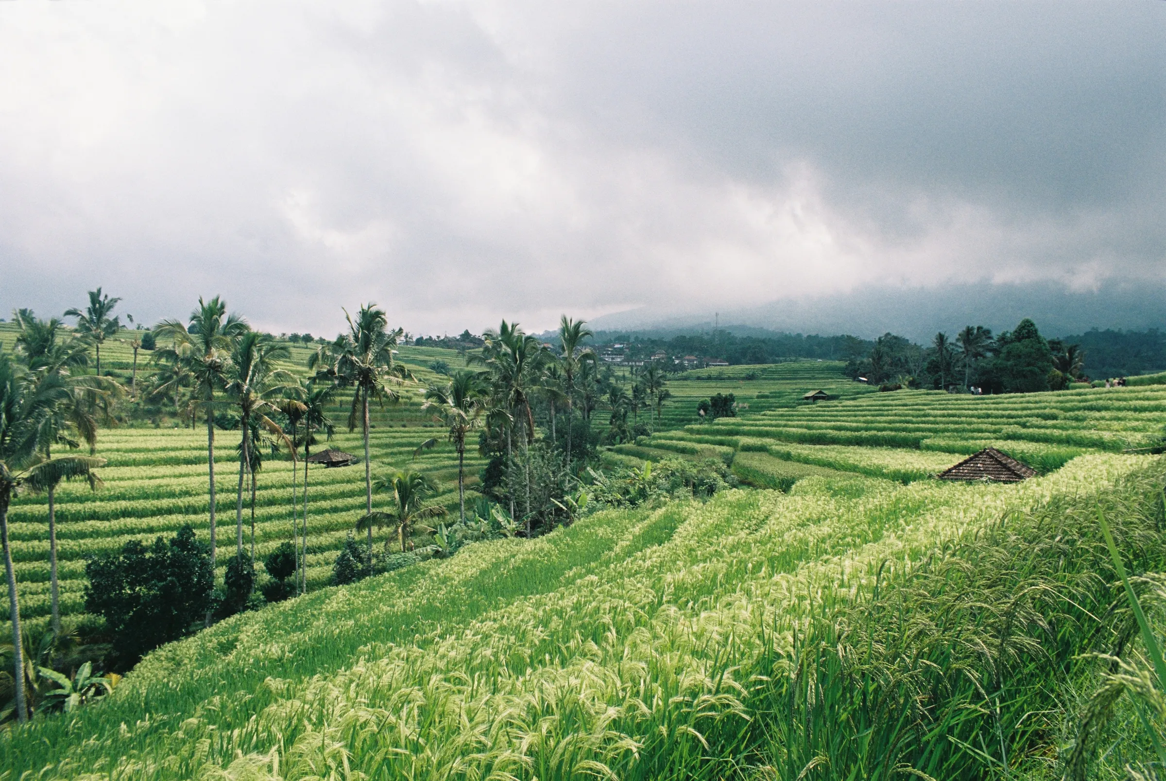 bali-2022, frame 56