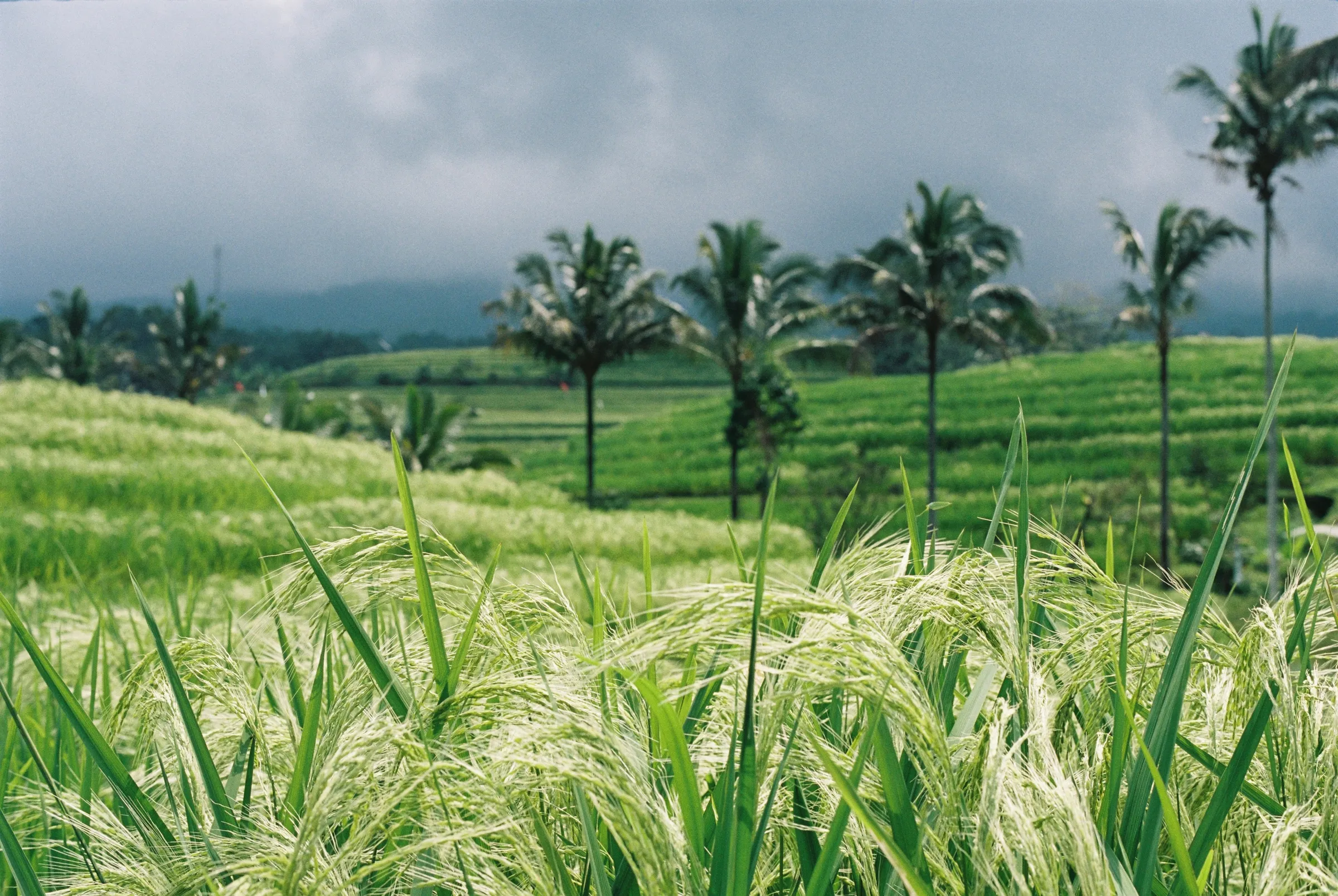 bali-2022, frame 57