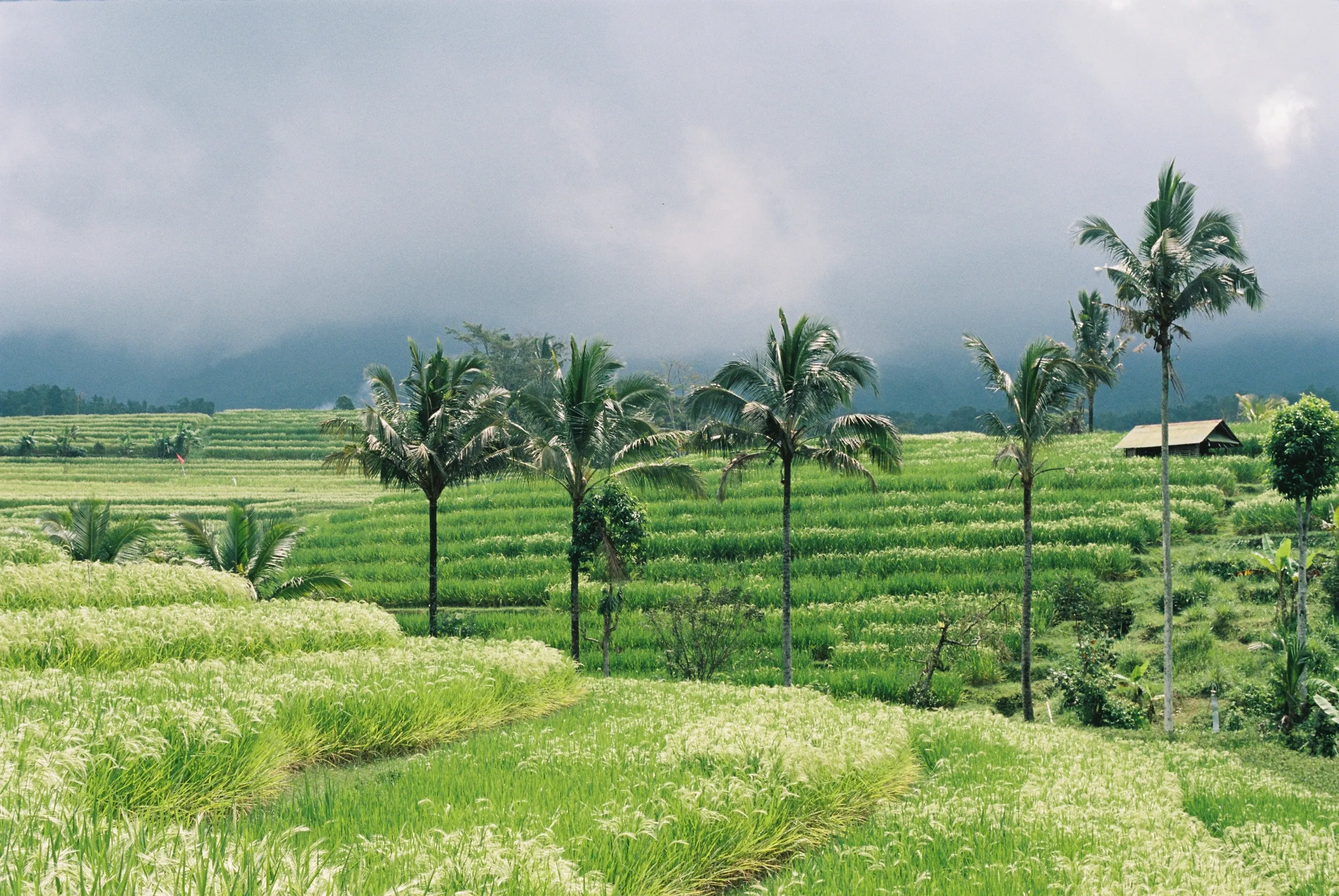 bali-2022, frame 58