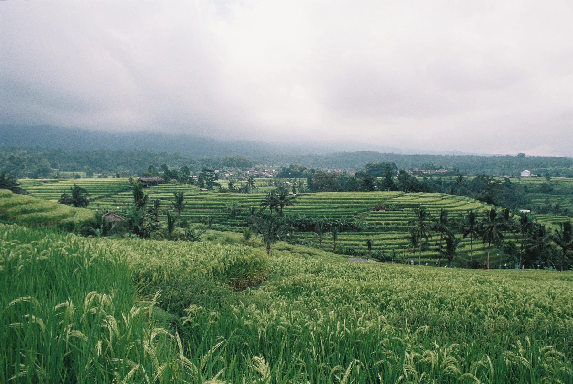 bali-2022, frame 59