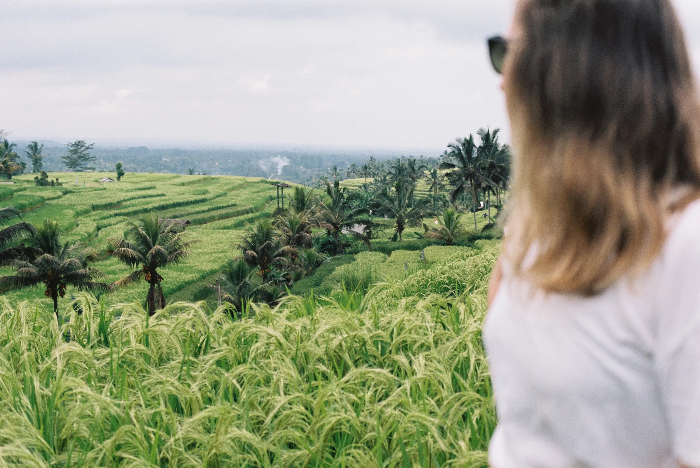 bali-2022, frame 60