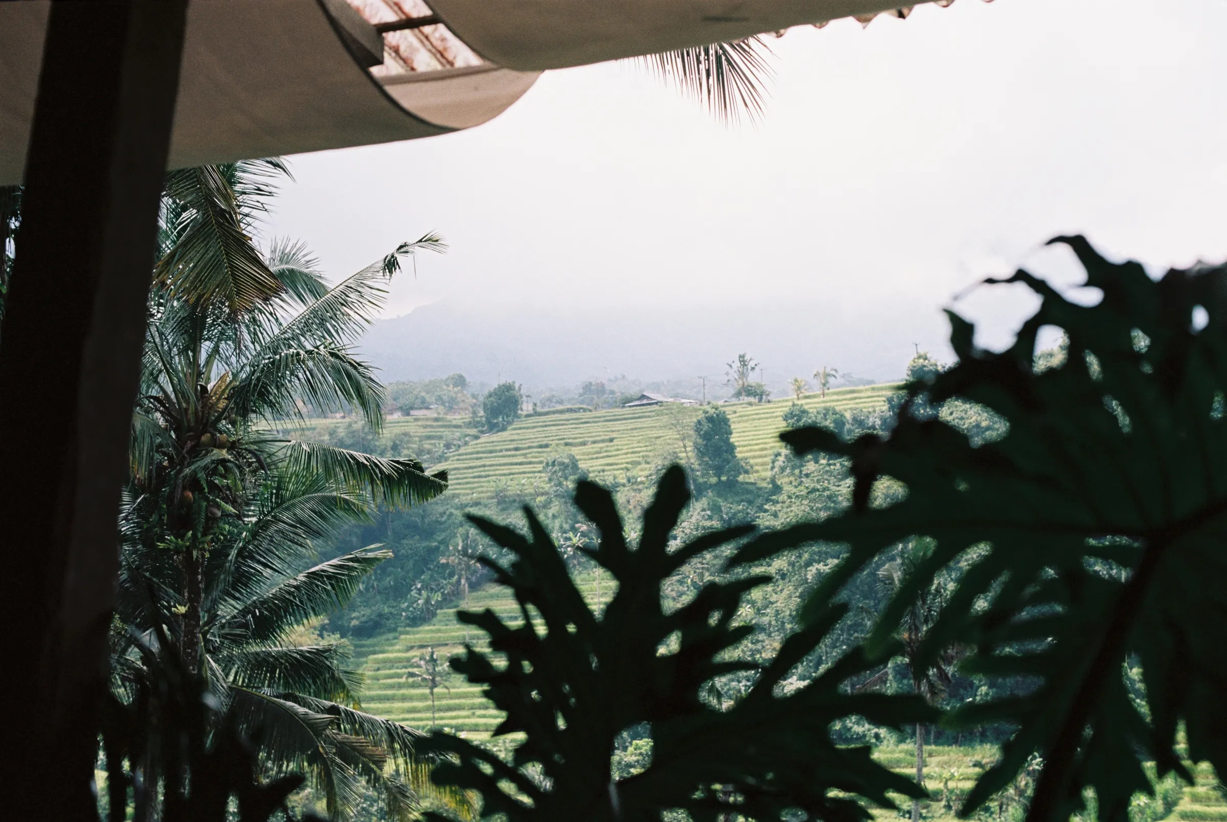 bali-2022, frame 67