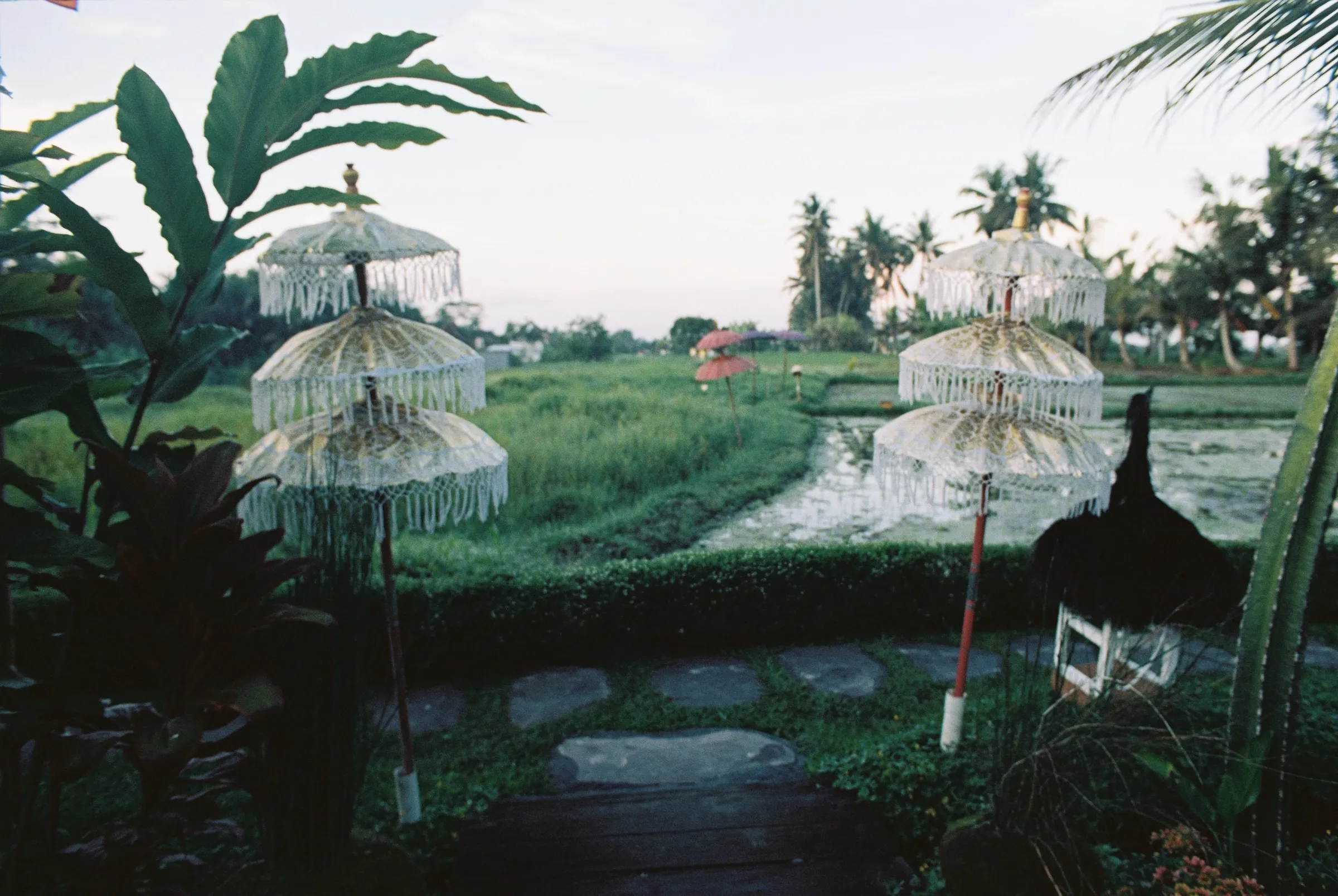 bali-2022, frame 32