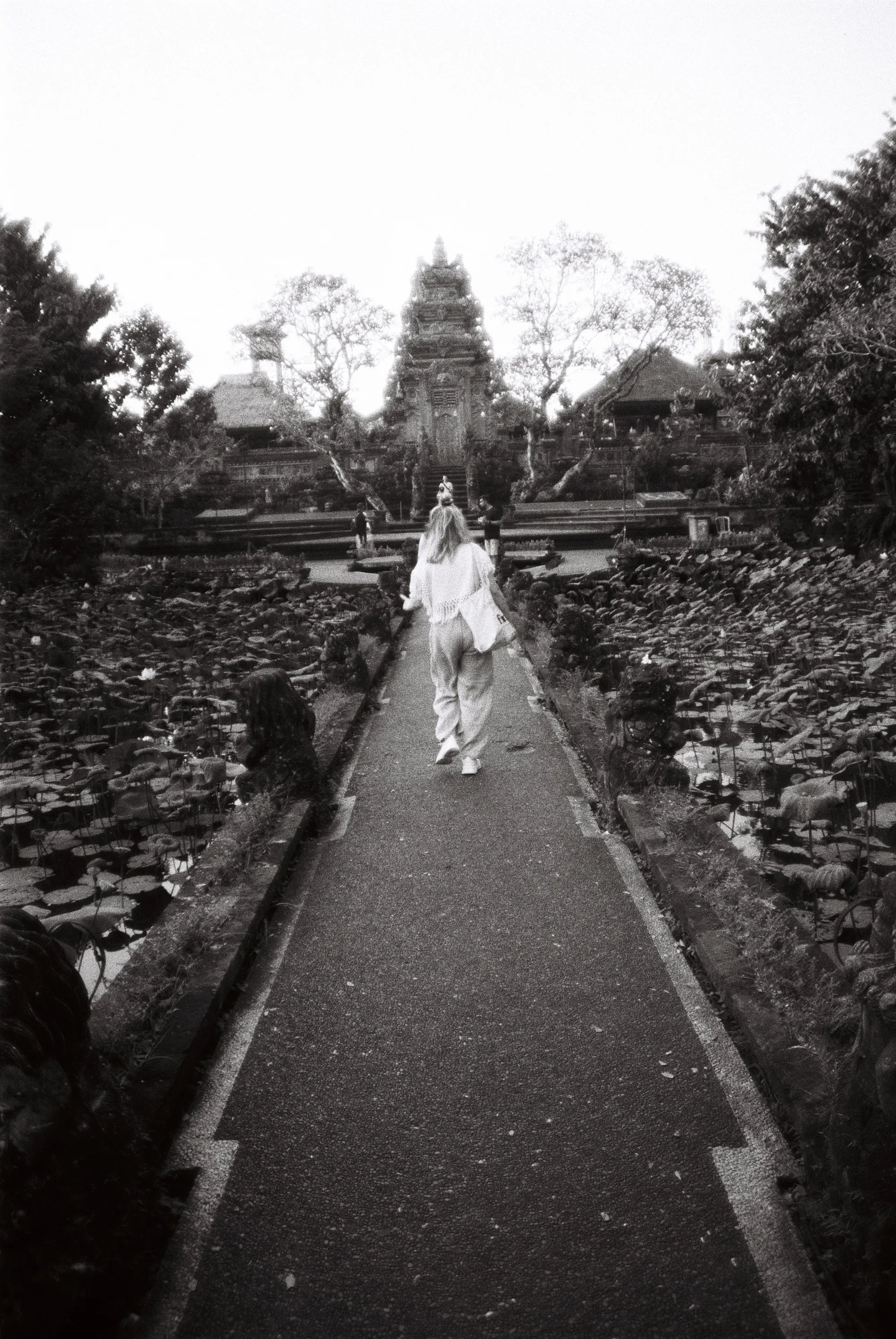 bali-2022, frame 20