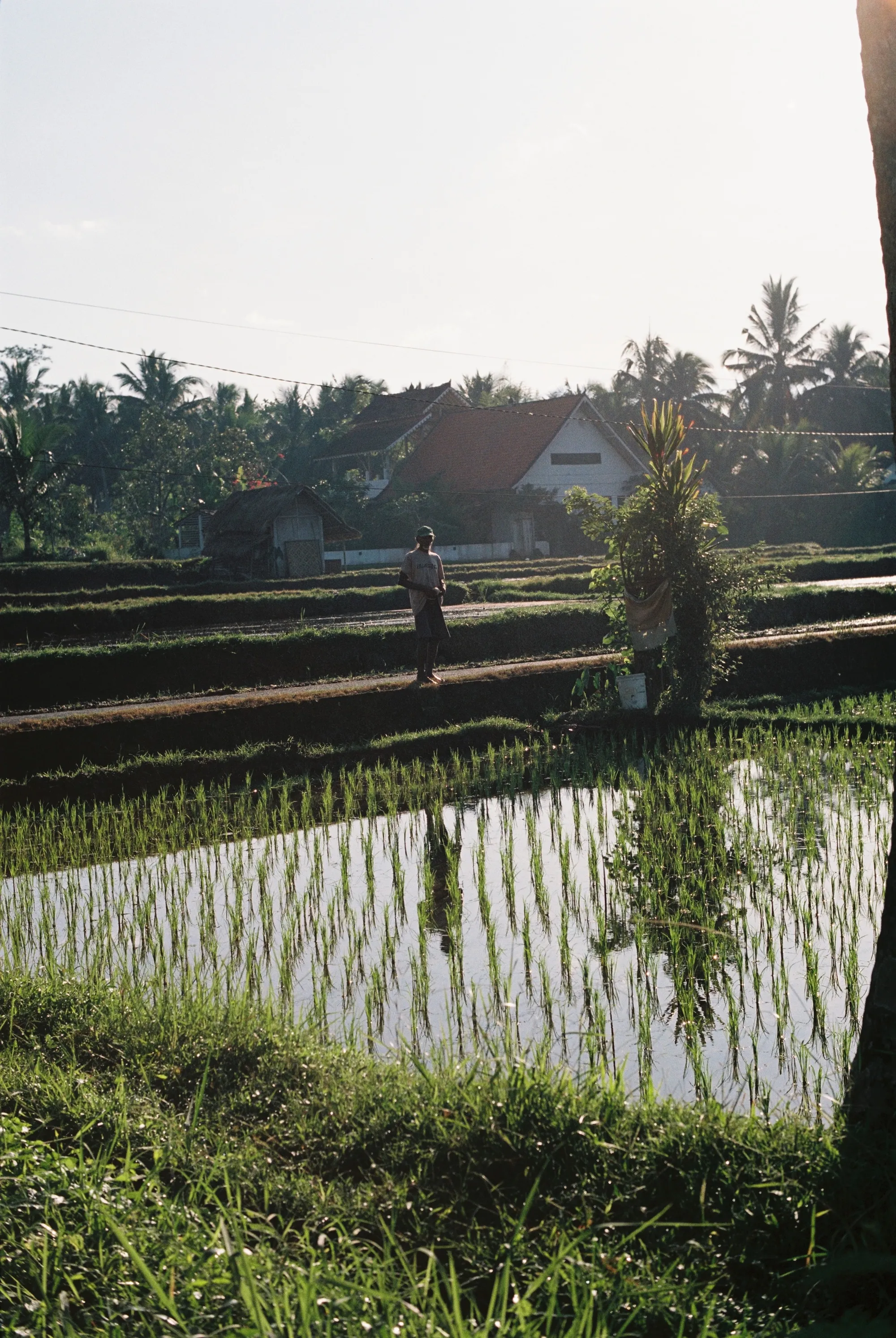bali-2022, frame 35