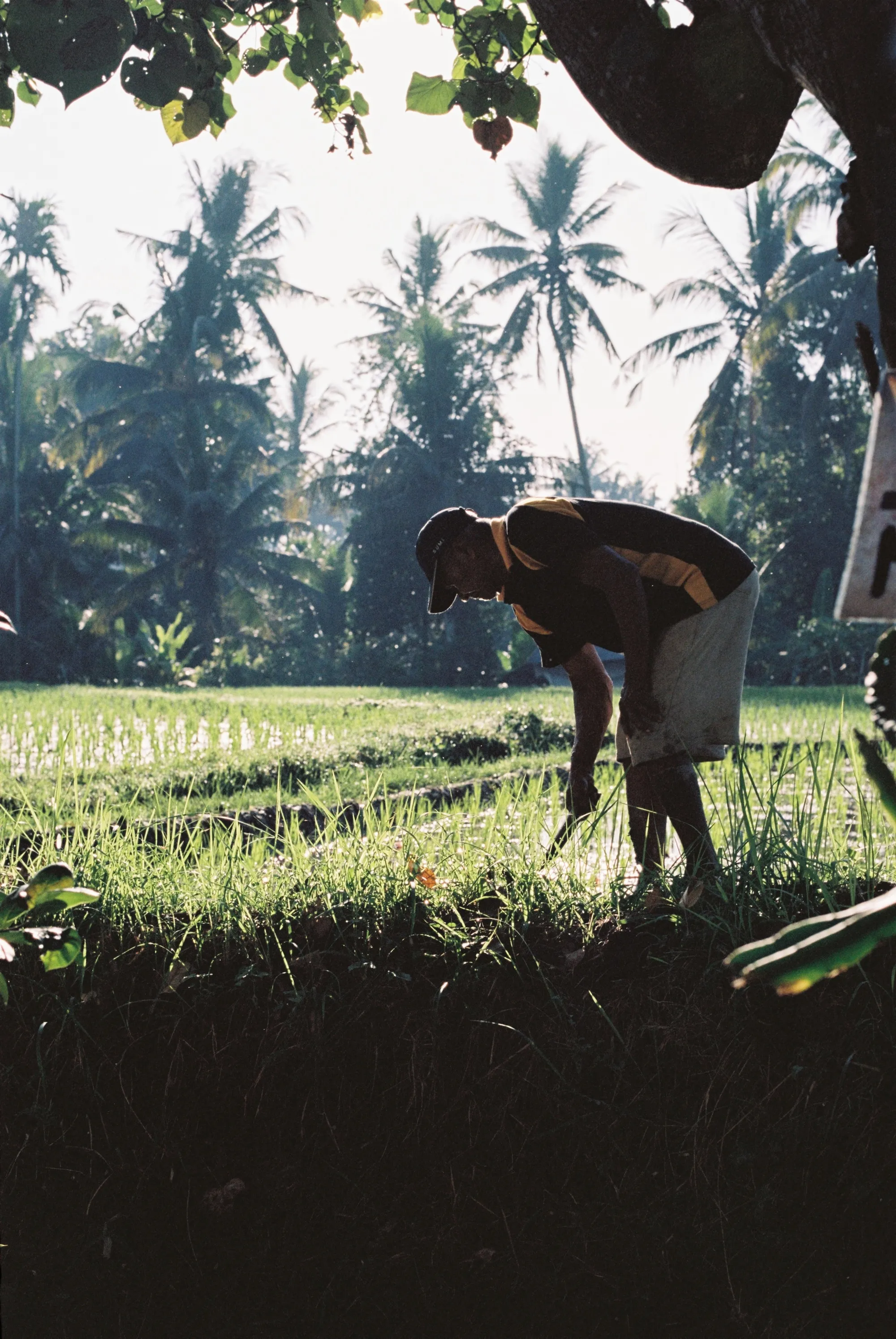 bali-2022, frame 37