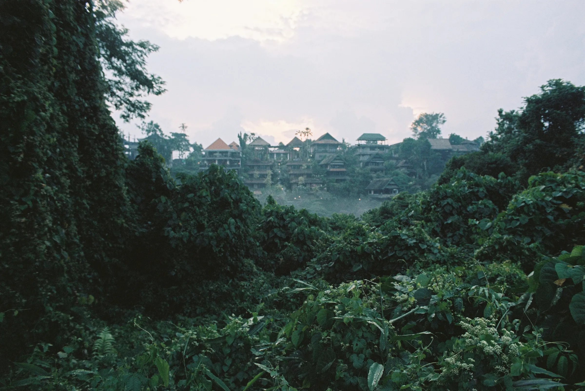 bali-2022, frame 39
