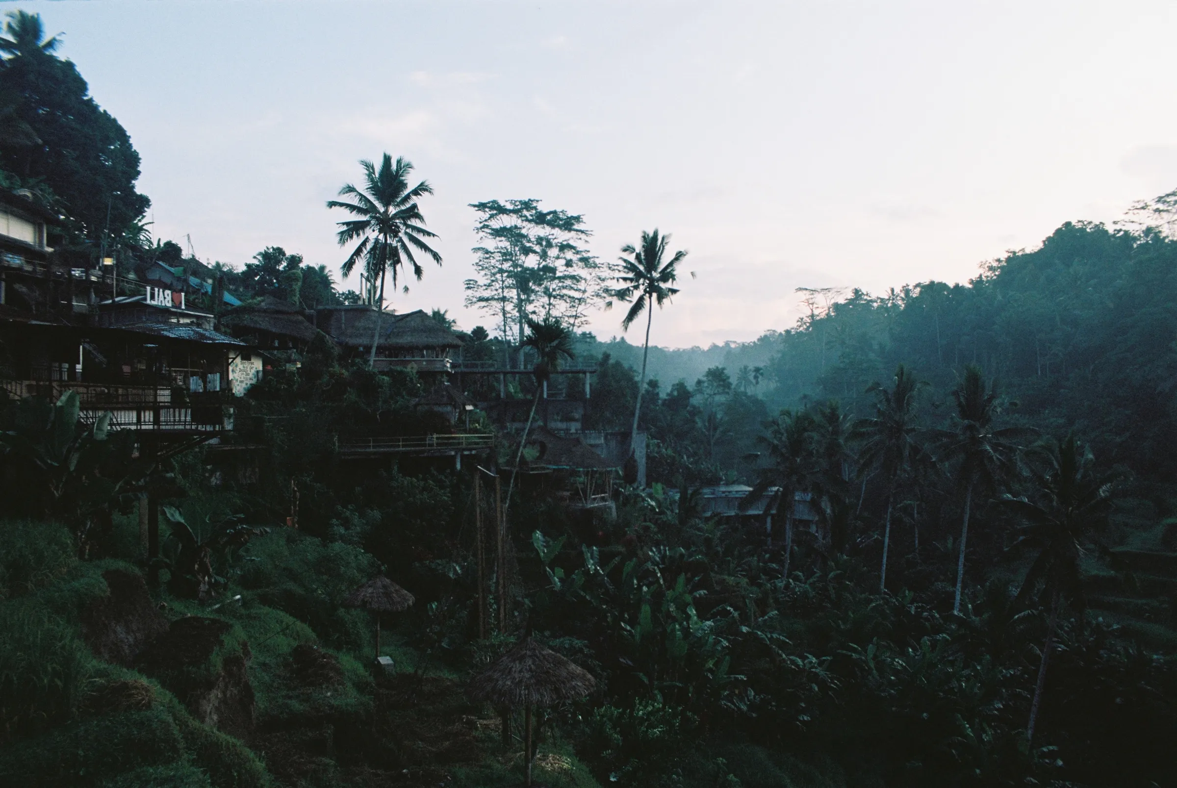 bali-2022, frame 40