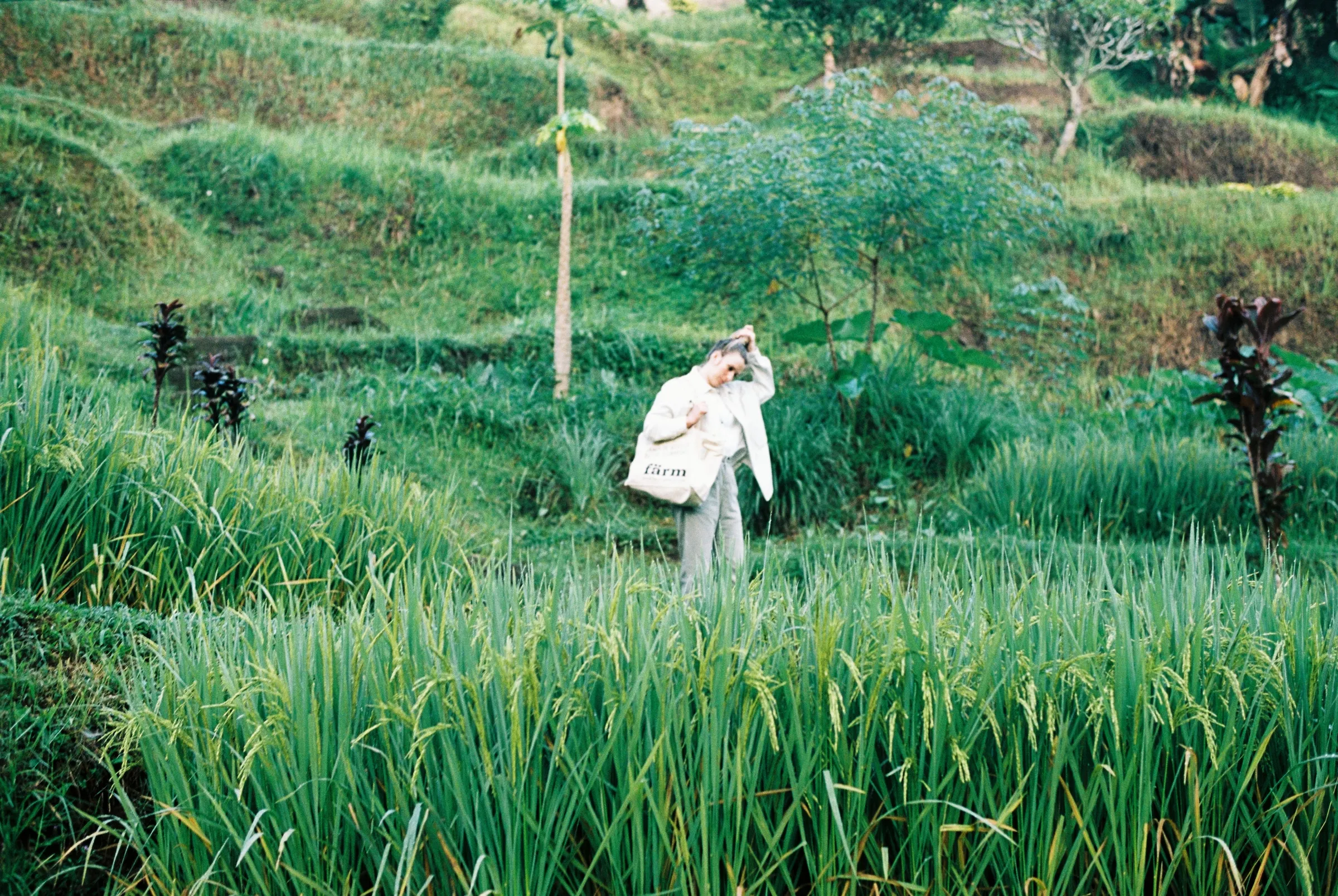 bali-2022, frame 41