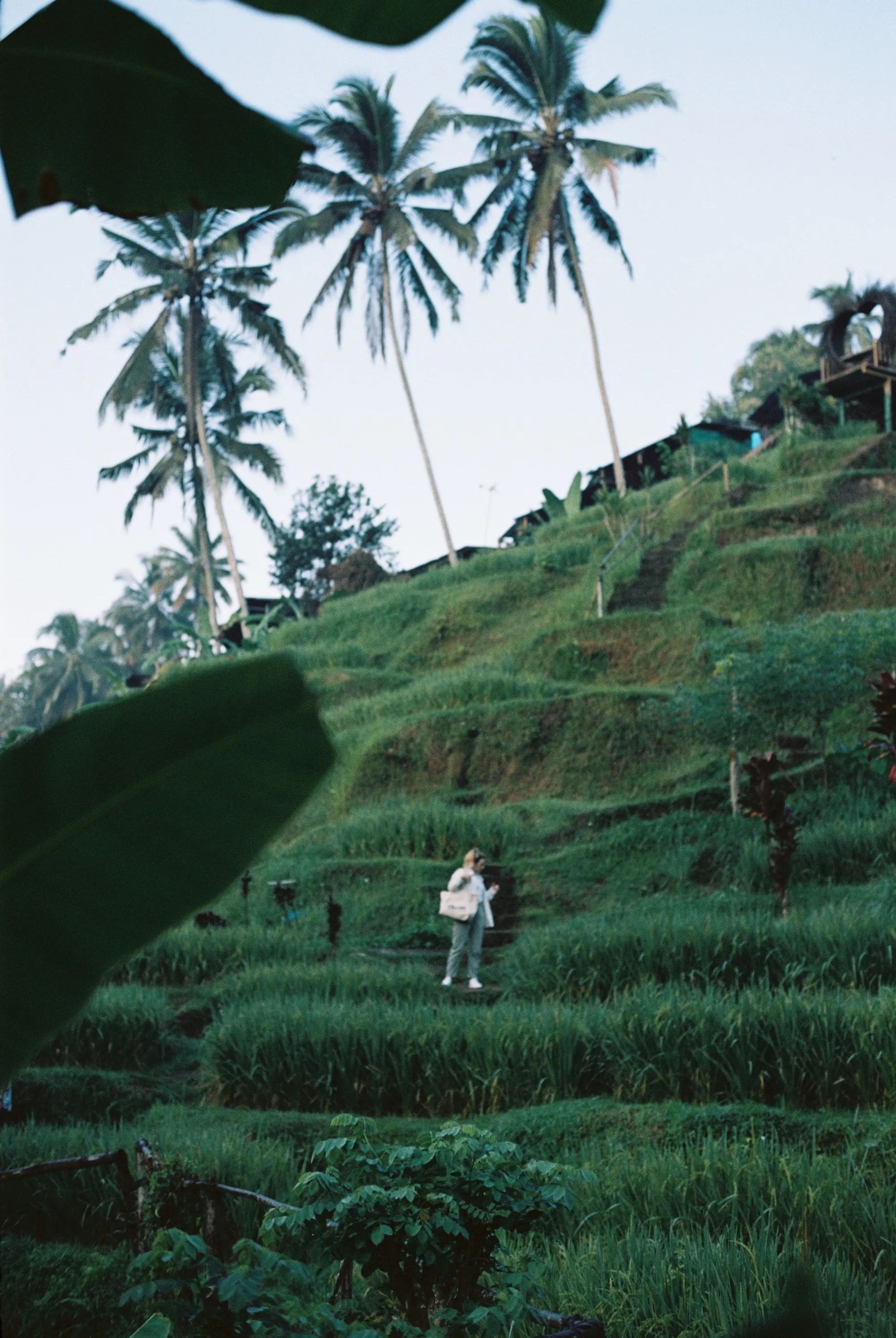 bali-2022, frame 42