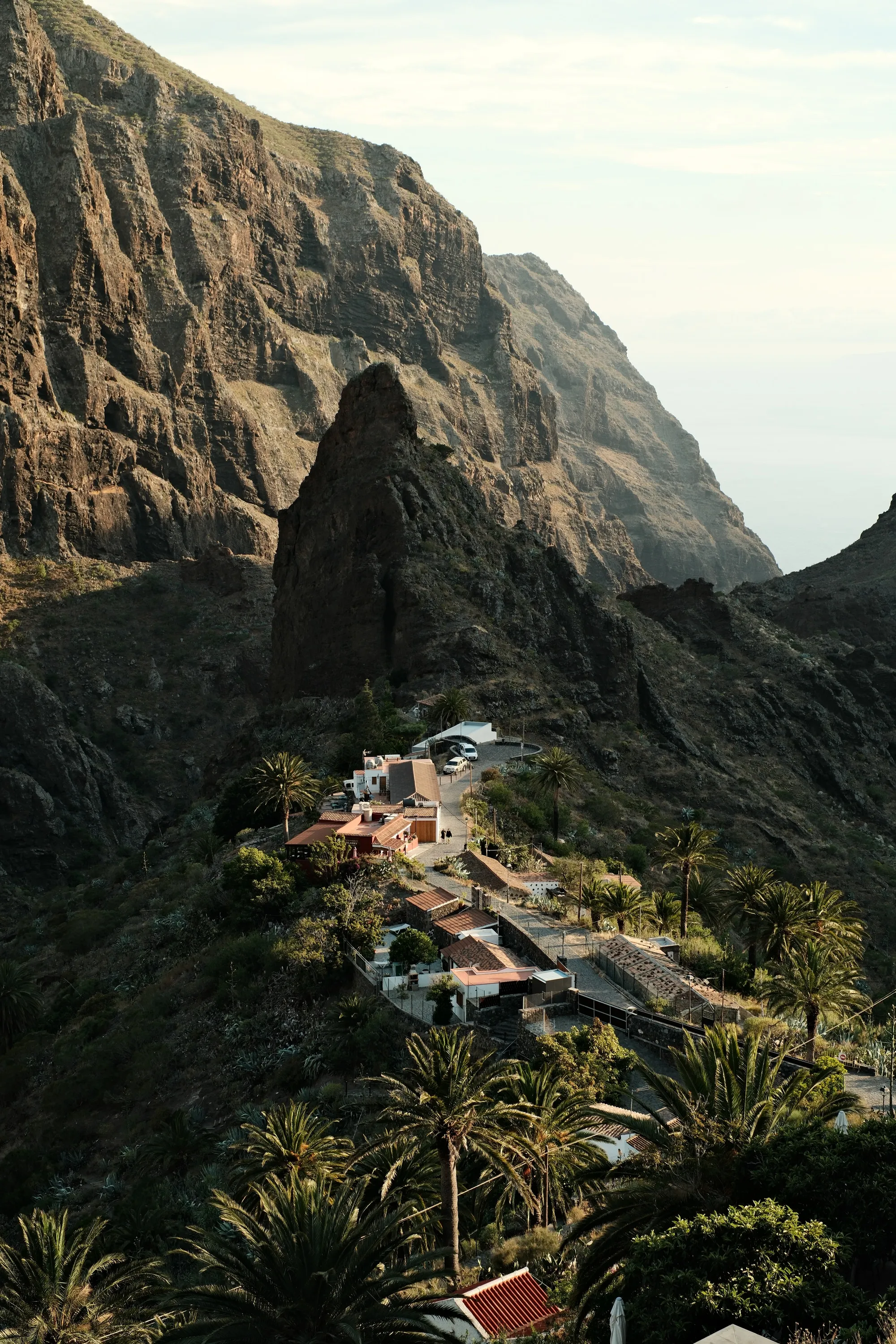 canary-2025, frame 7