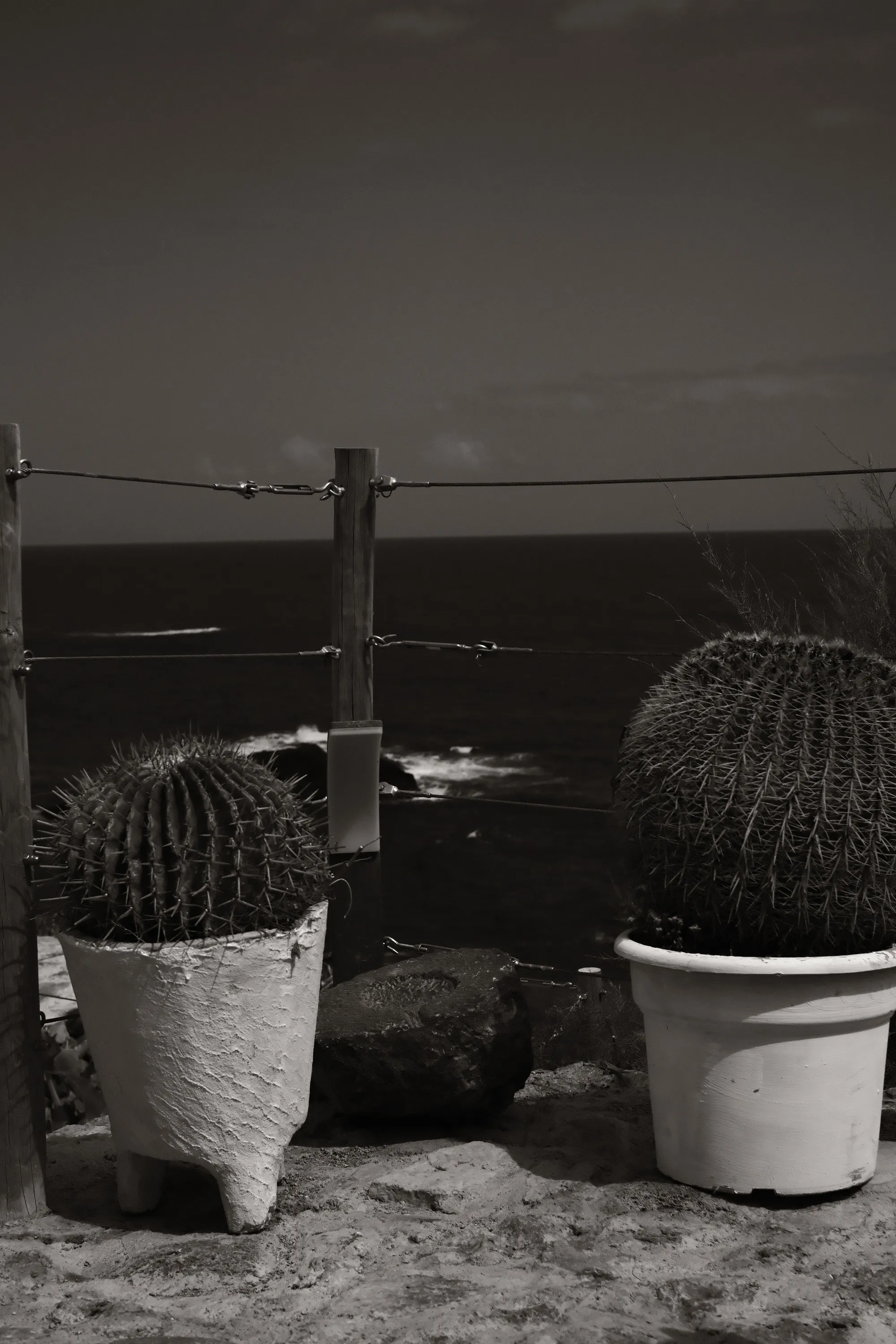 canary-2025, frame 16