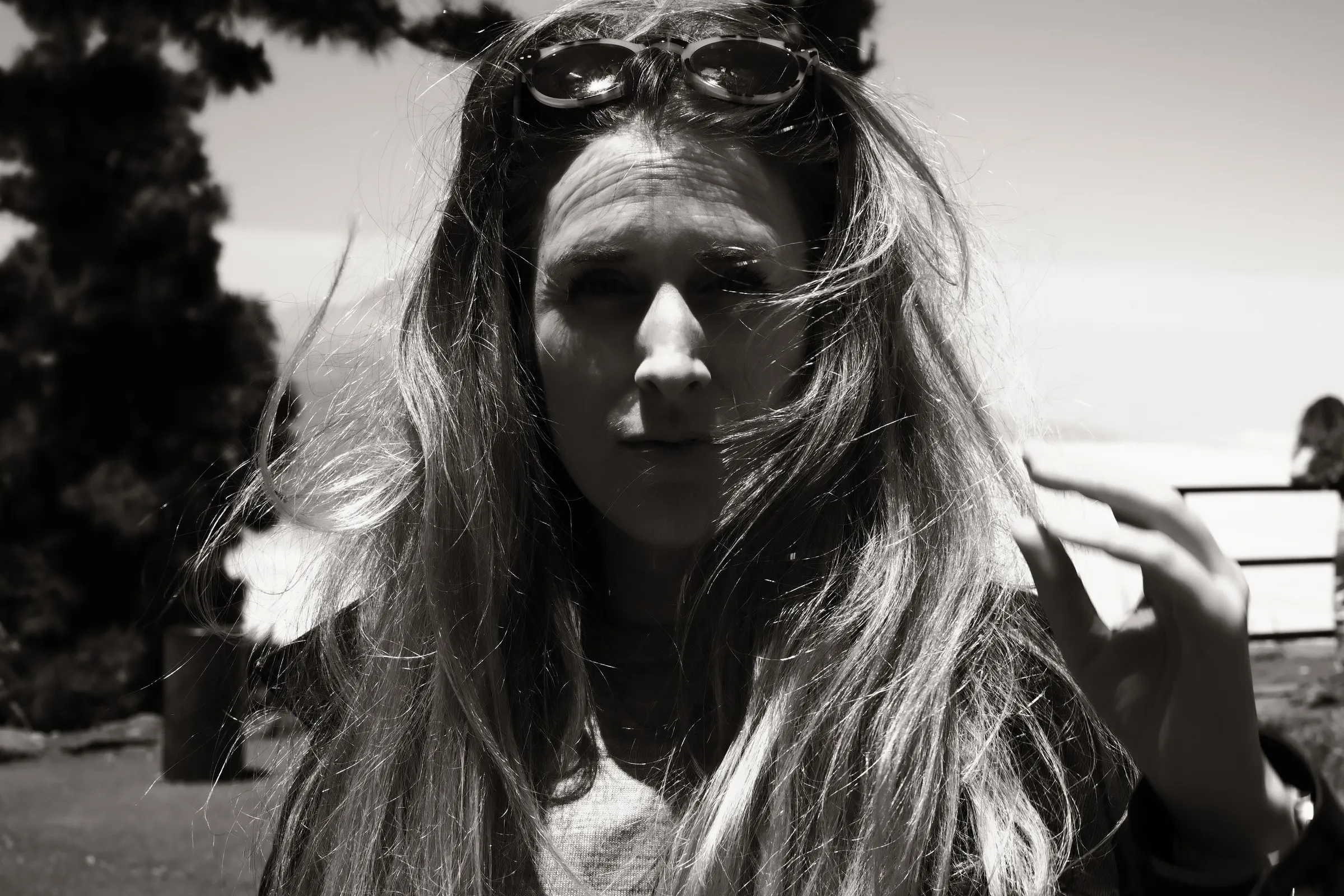 canary-2025, frame 33