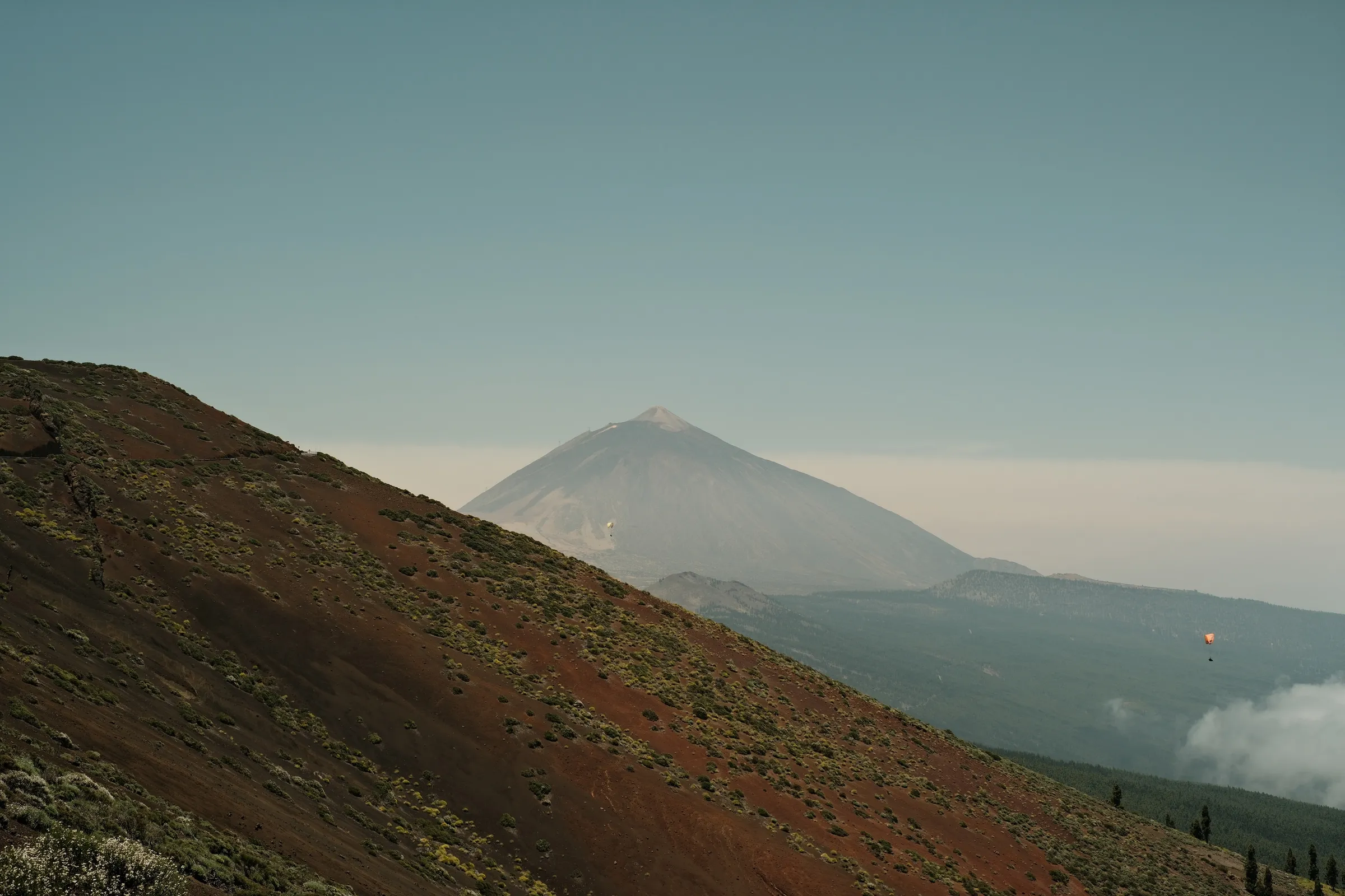 canary-2025, frame 34