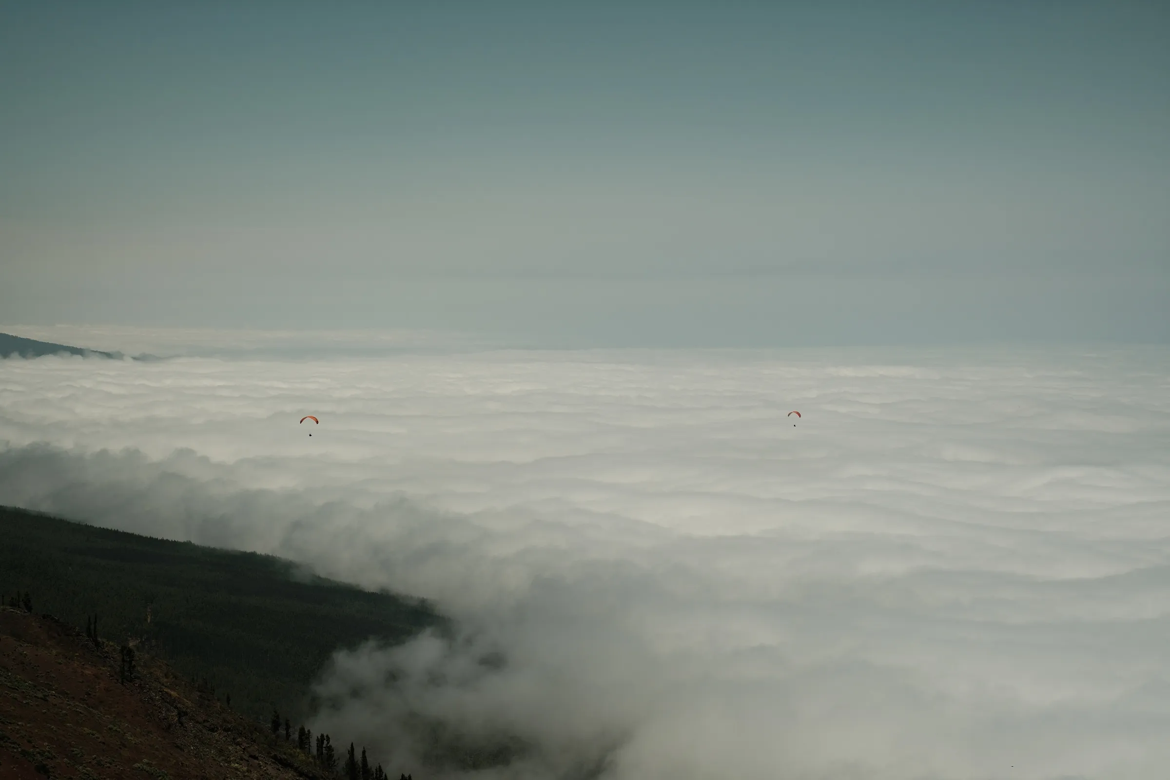 canary-2025, frame 35