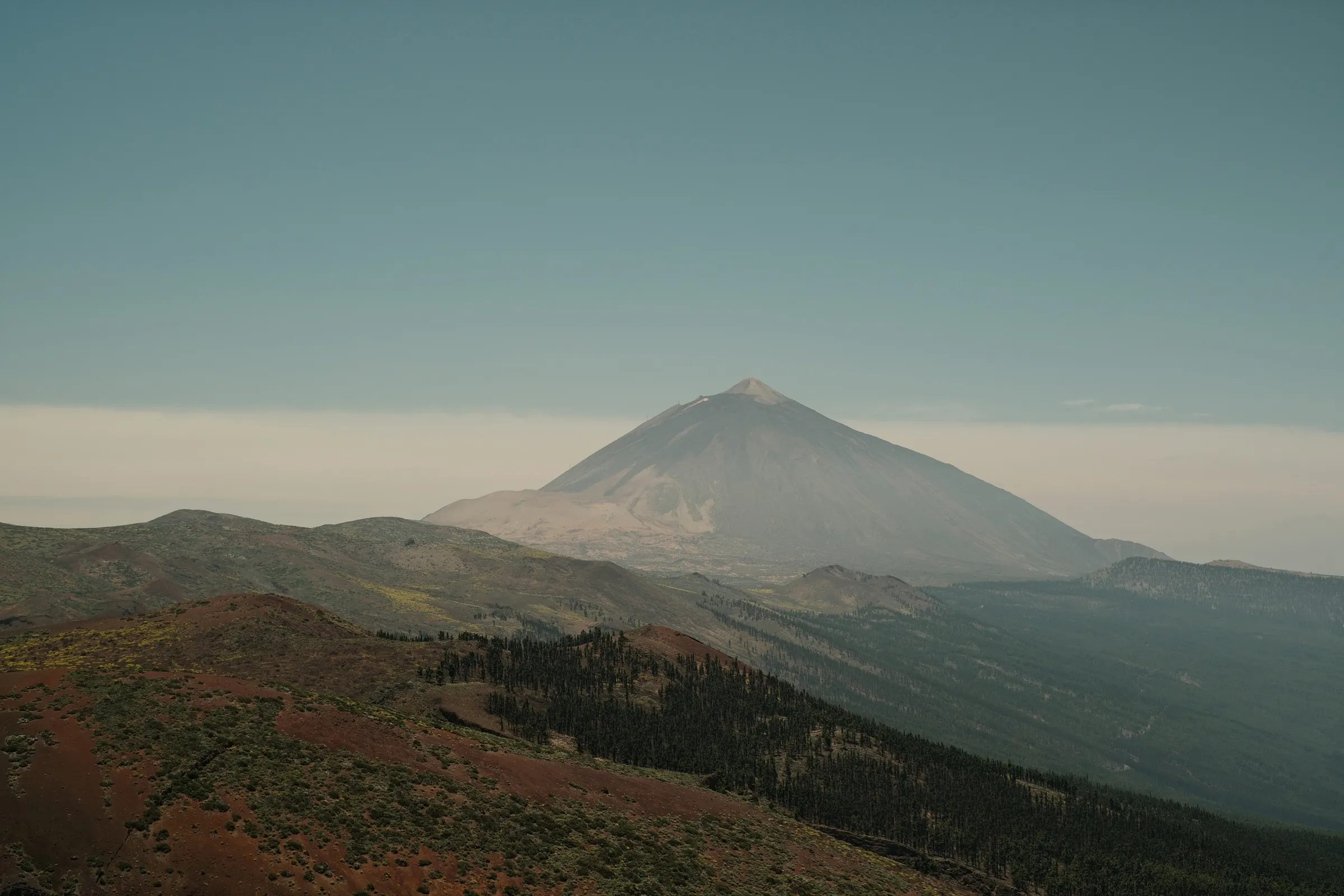 canary-2025, frame 37