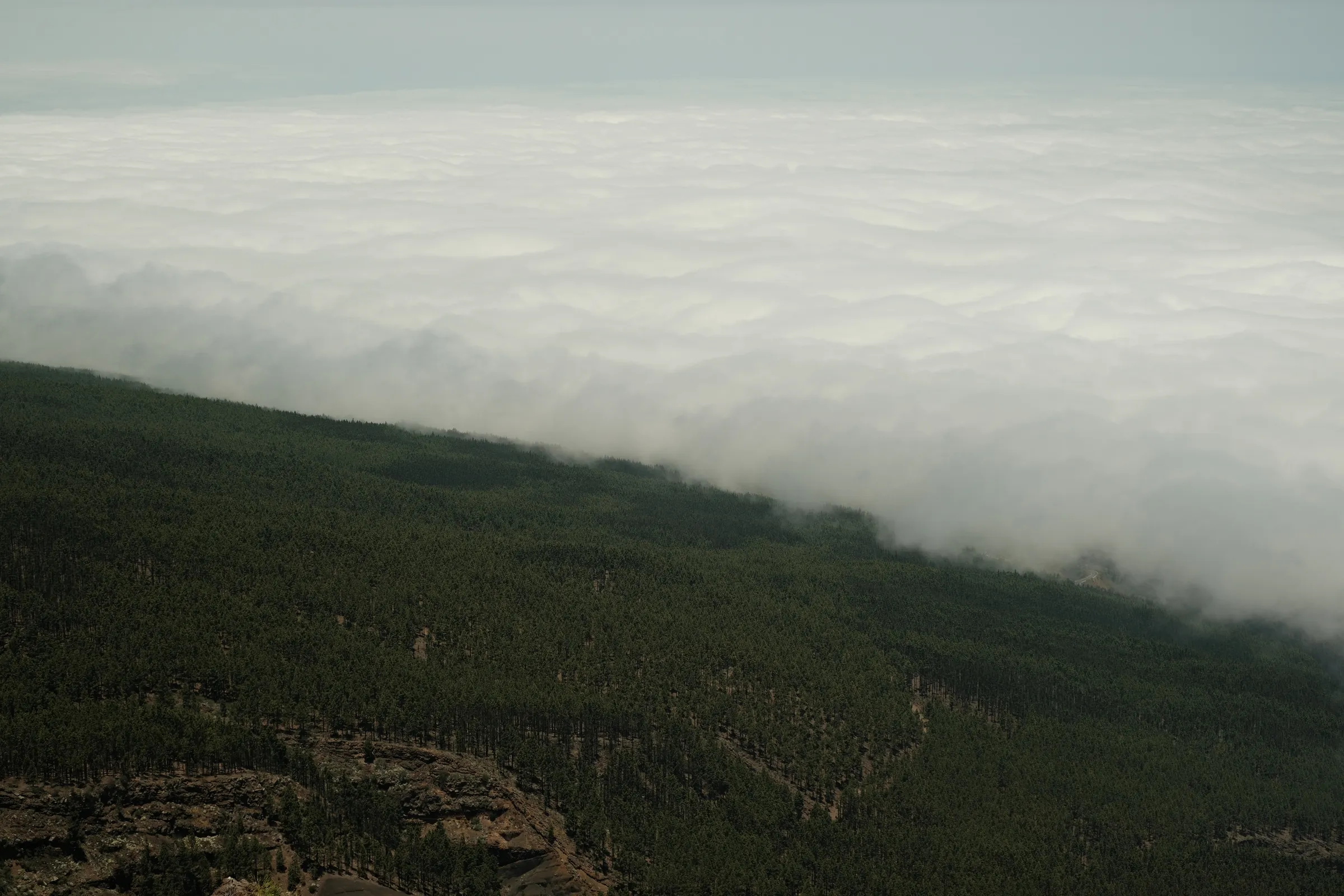 canary-2025, frame 38