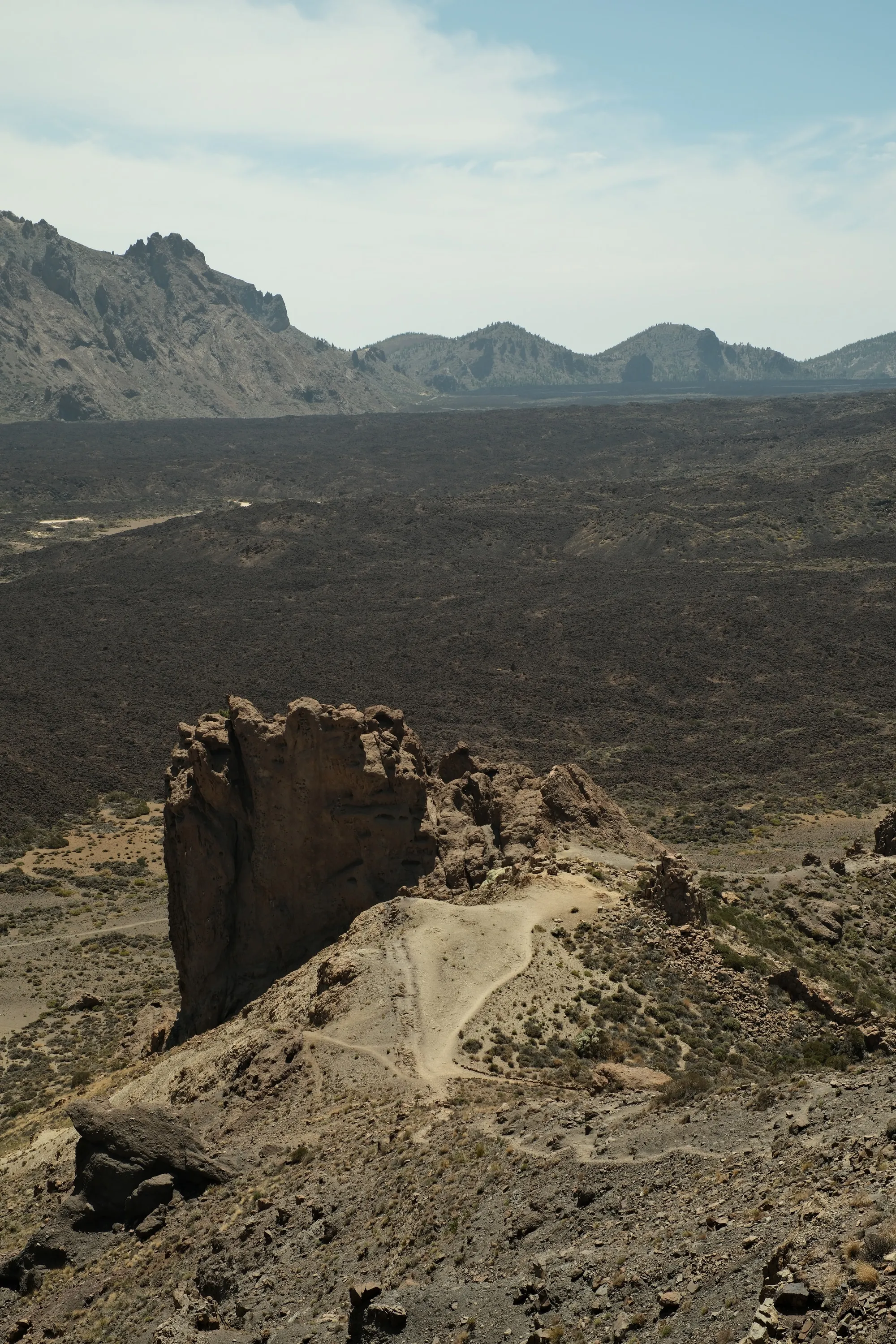 canary-2025, frame 42