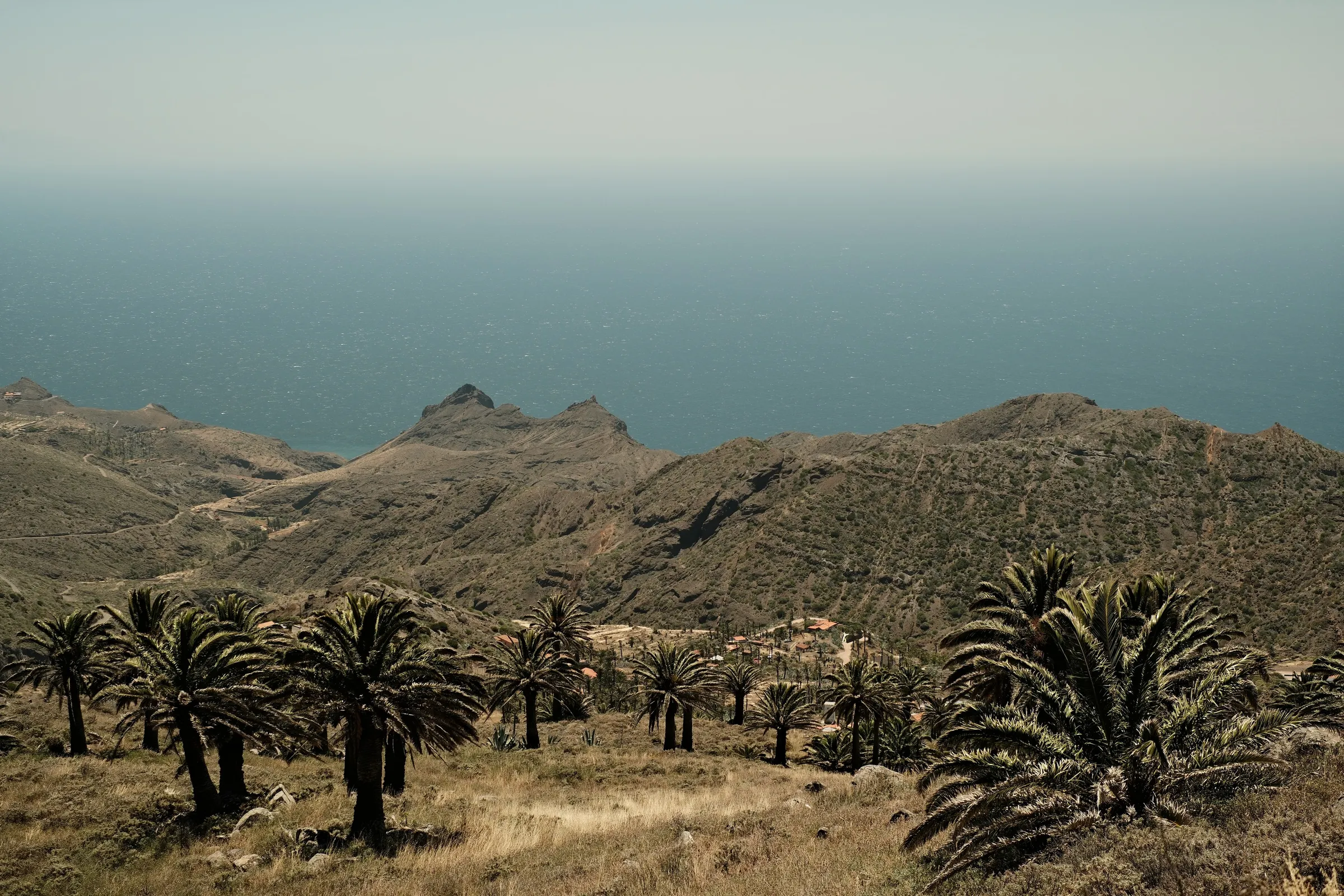 canary-2025, frame 86