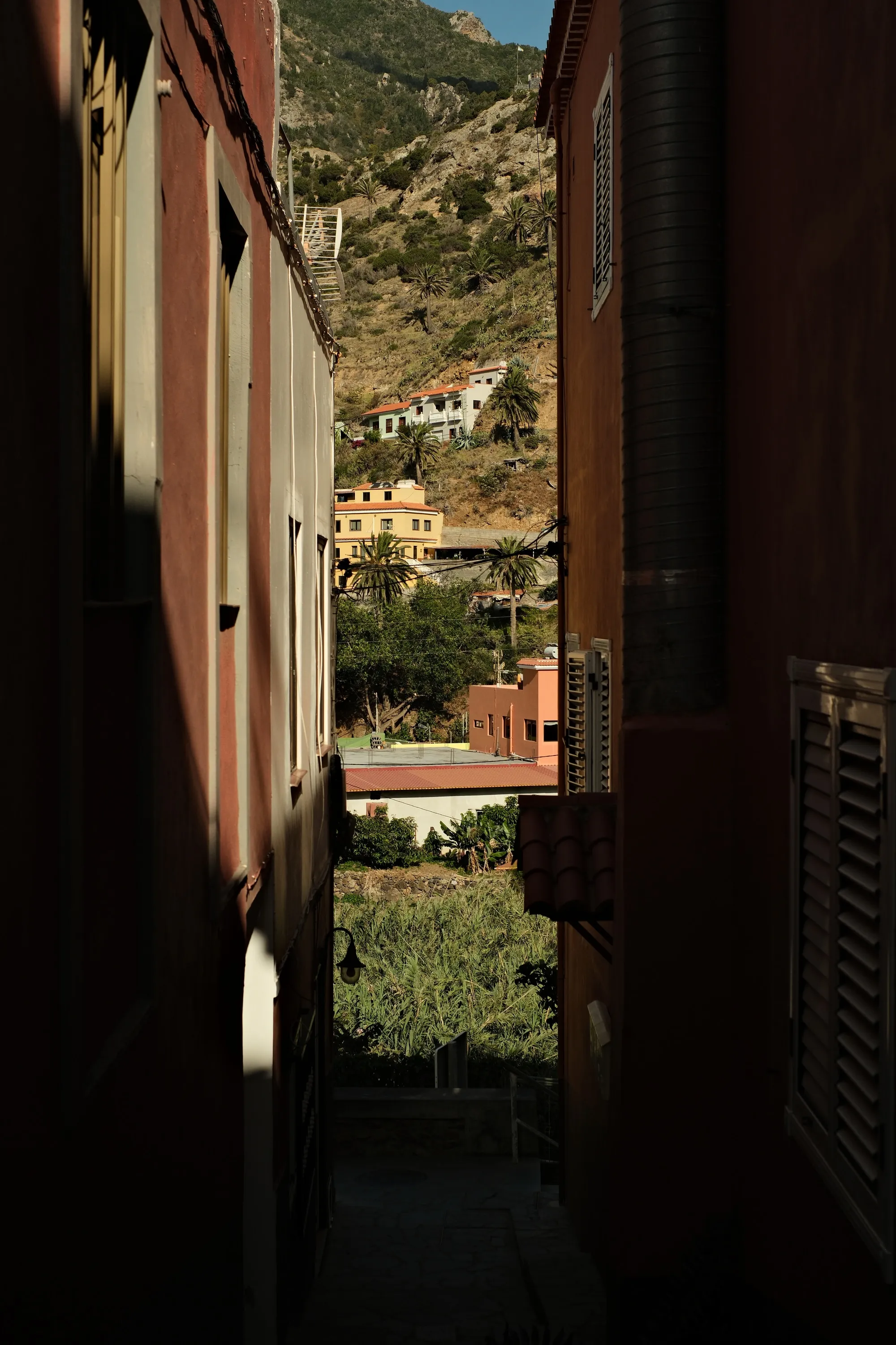 canary-2025, frame 73
