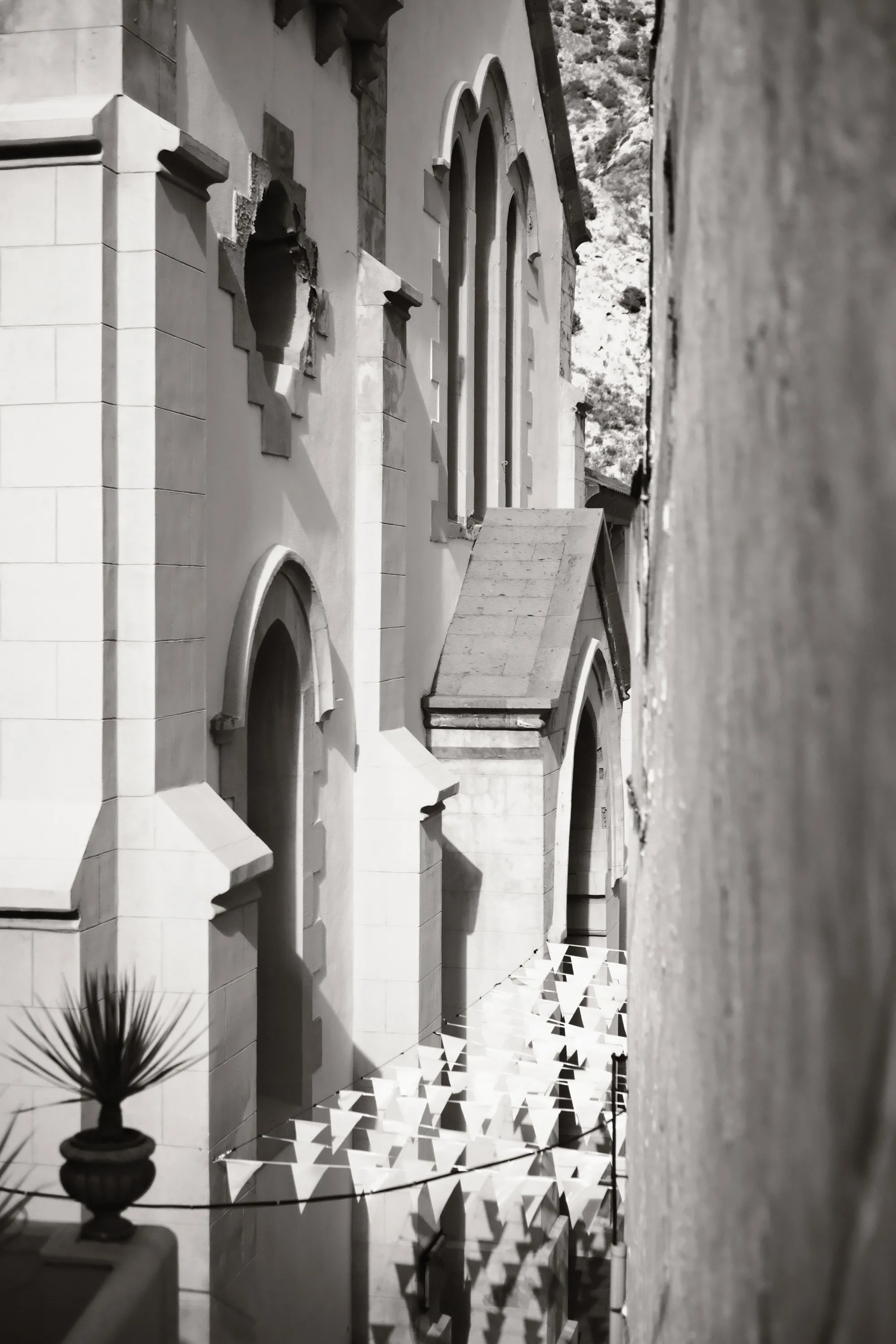 canary-2025, frame 77