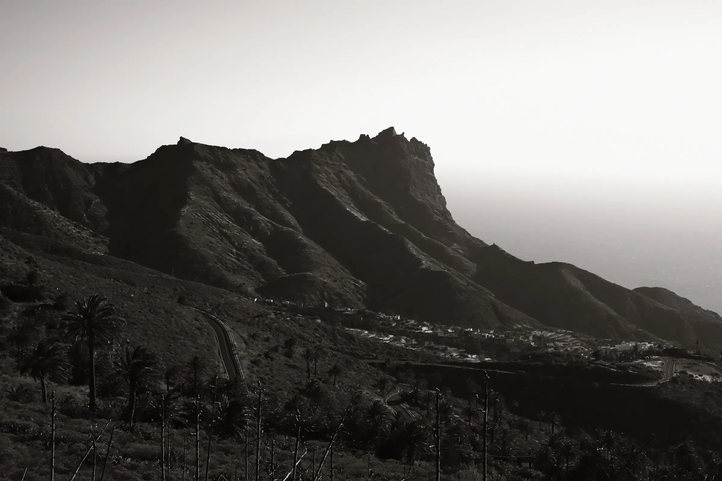 canary-2025, frame 89