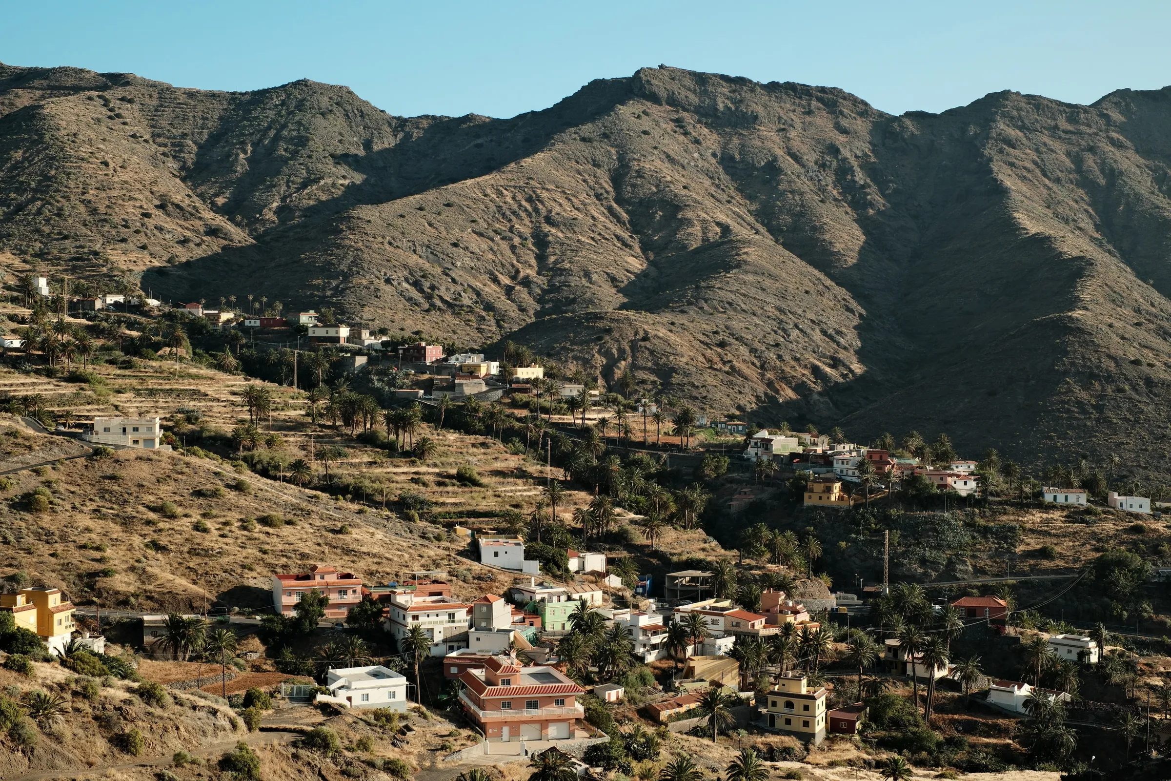 canary-2025, frame 90