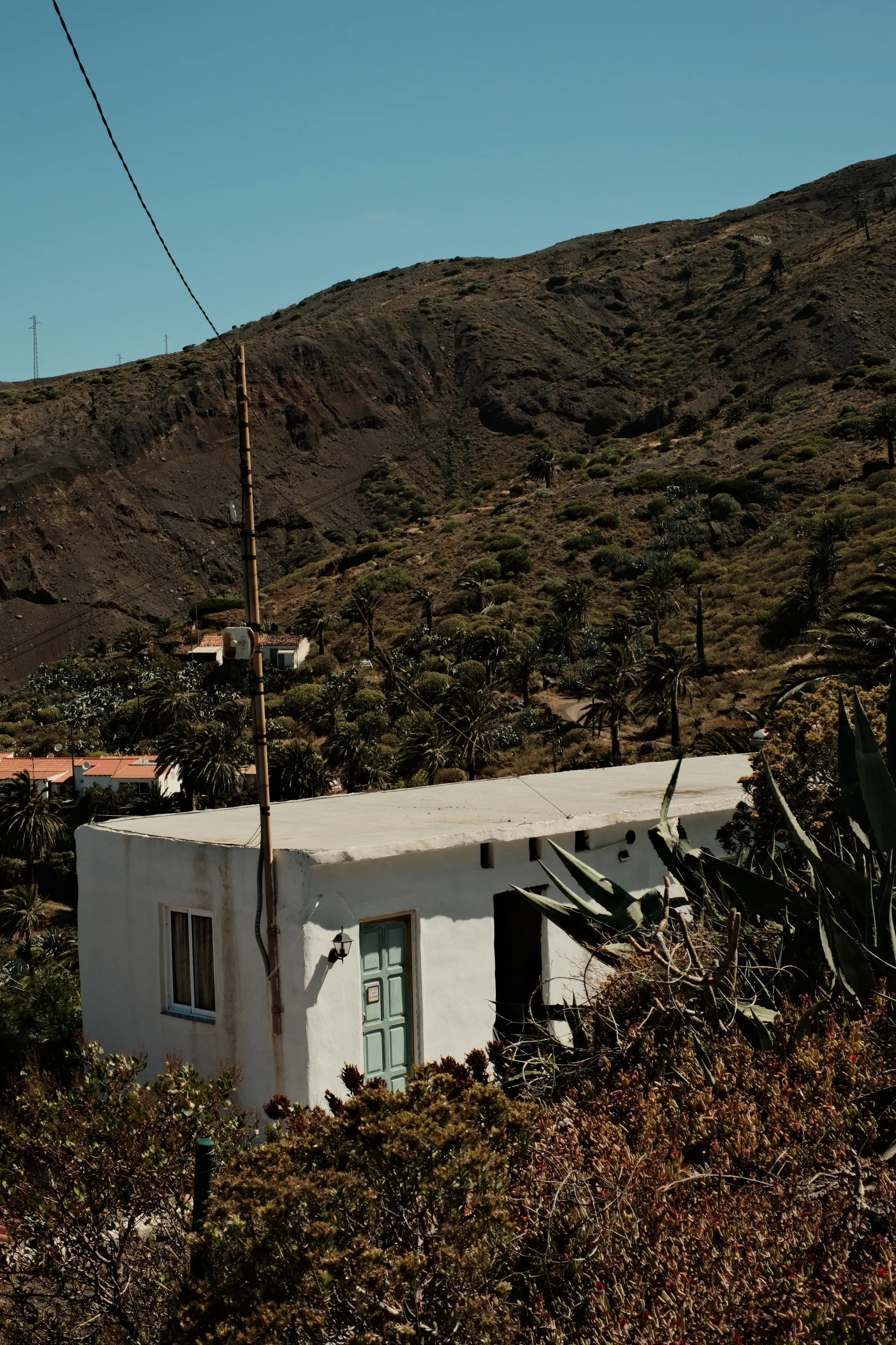 canary-2025, frame 92