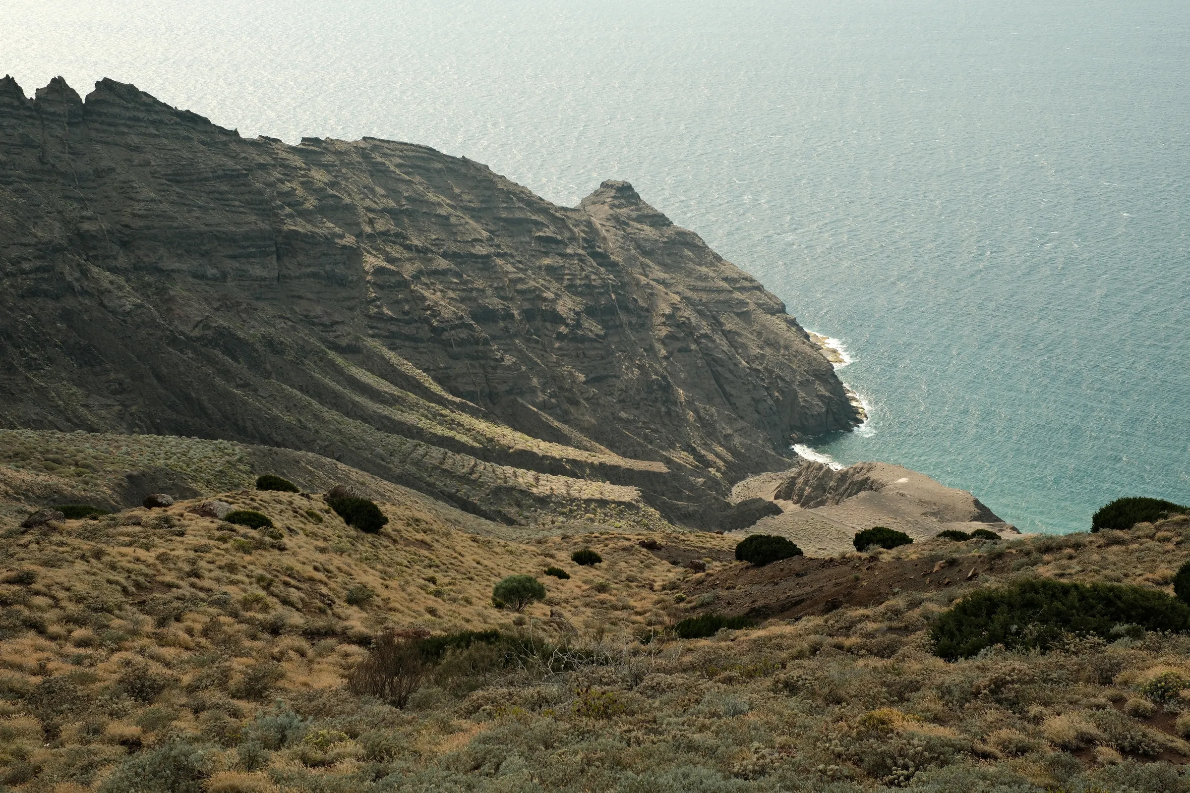 canary-2025, frame 94