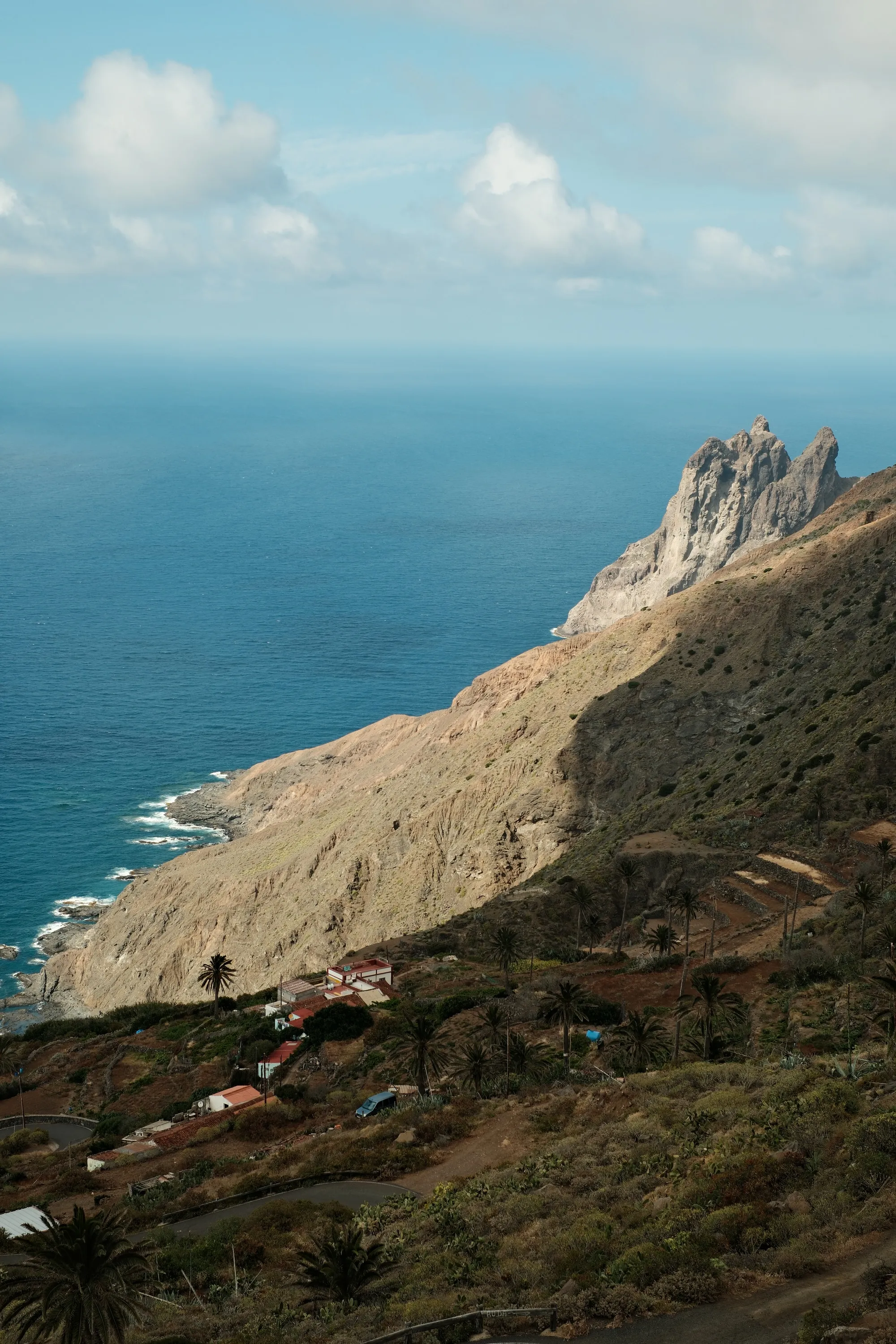 canary-2025, frame 96