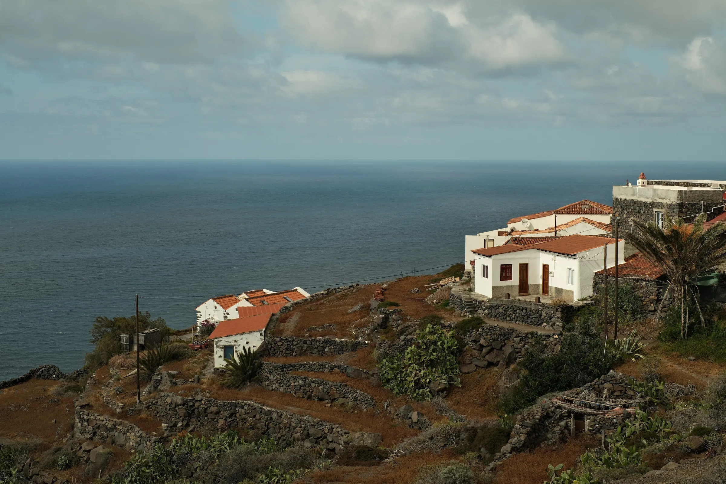 canary-2025, frame 97
