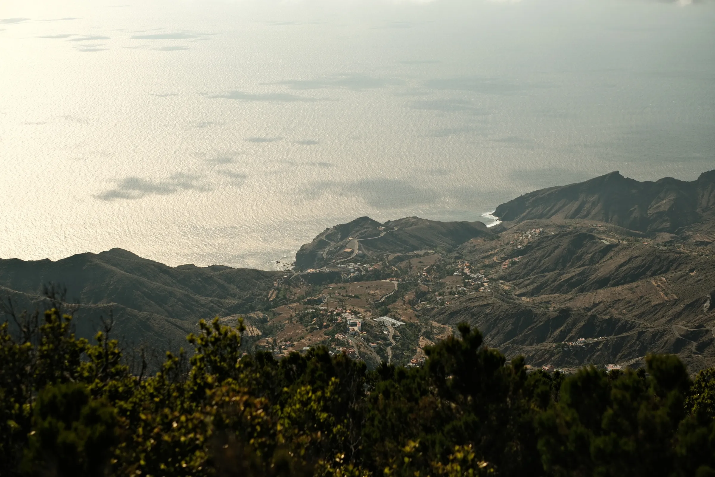 canary-2025, frame 100