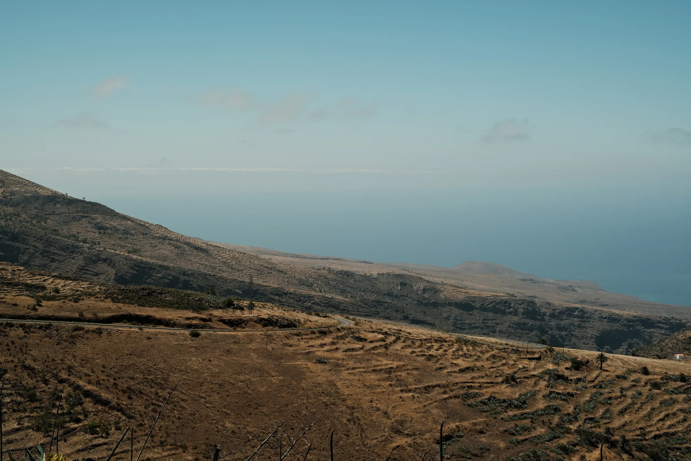 canary-2025, frame 108