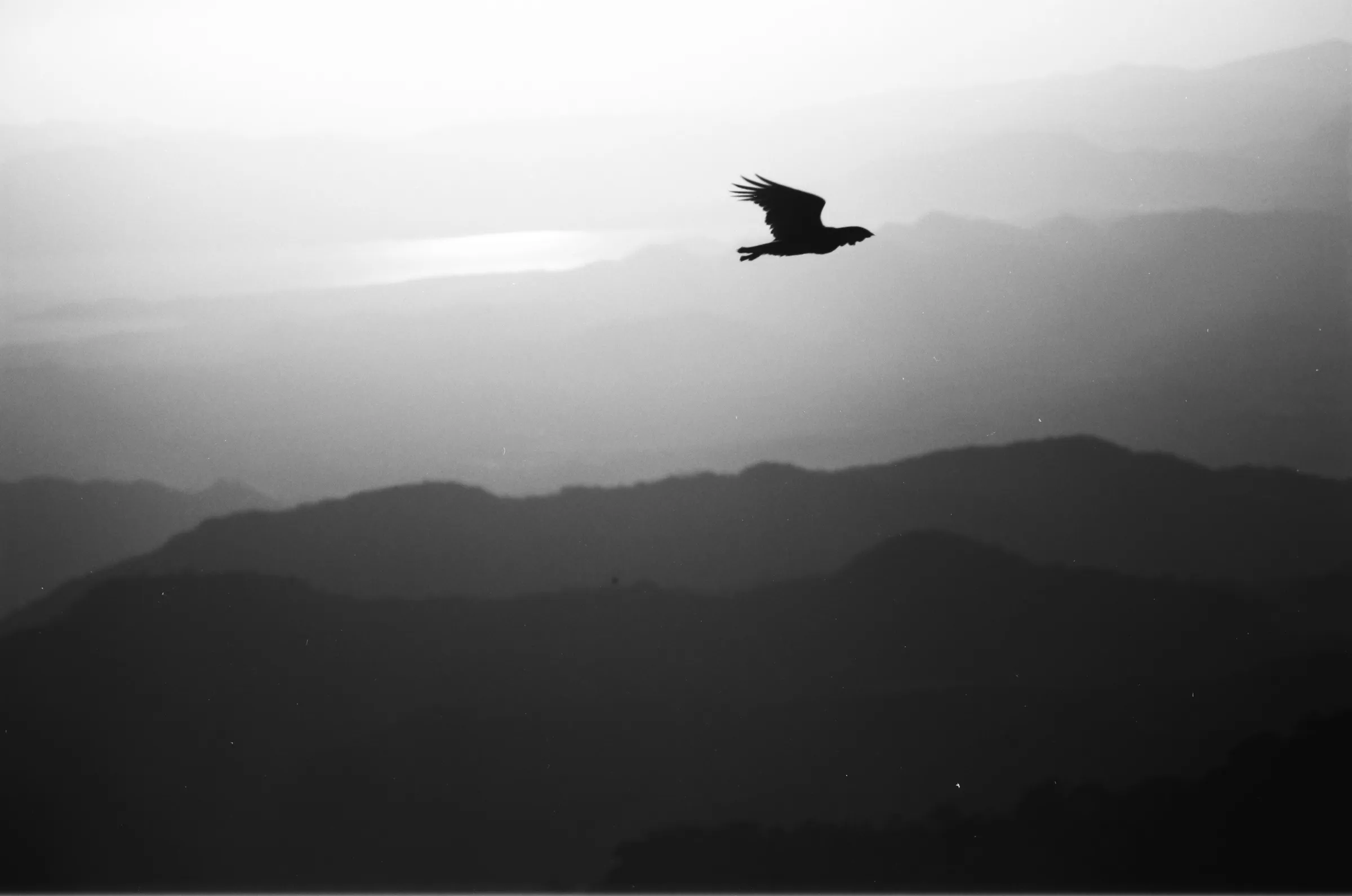 costa-rica-2021, frame 3