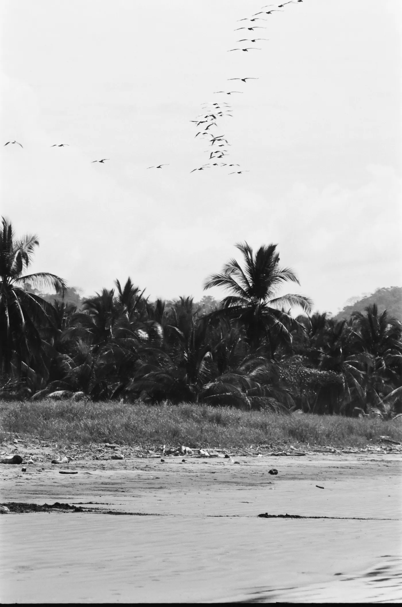 costa-rica-2021, frame 51