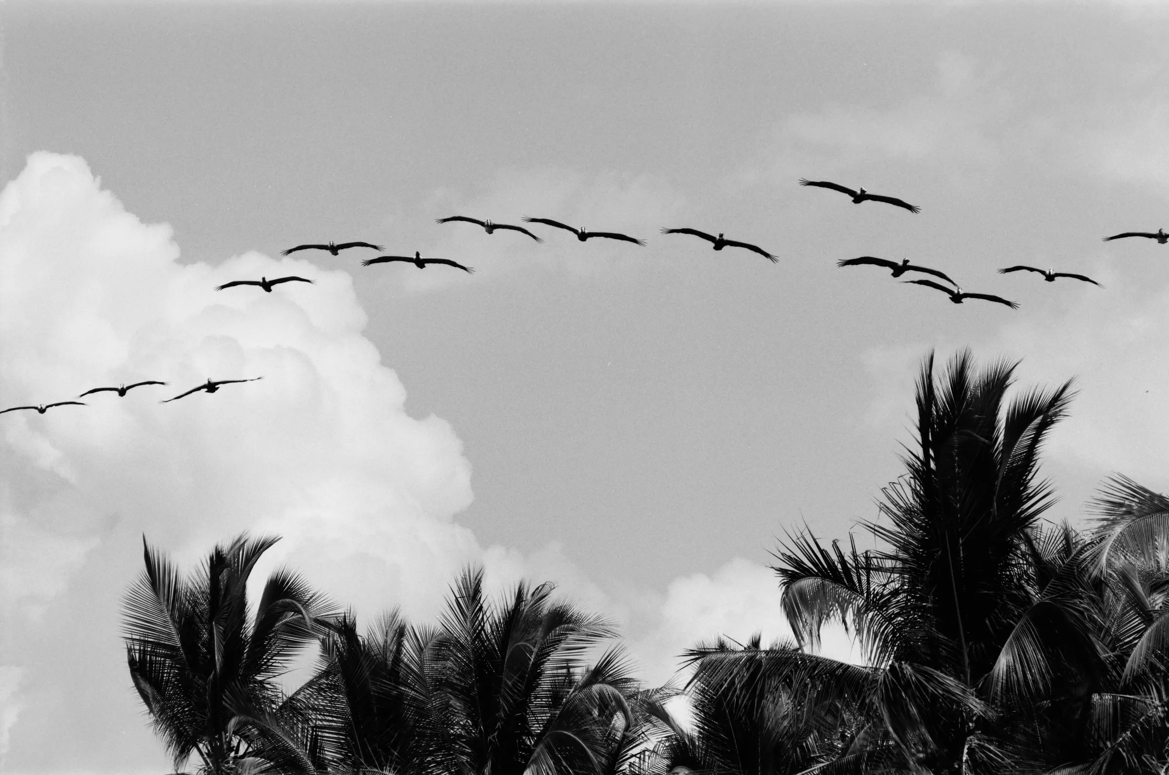 costa-rica-2021, frame 50