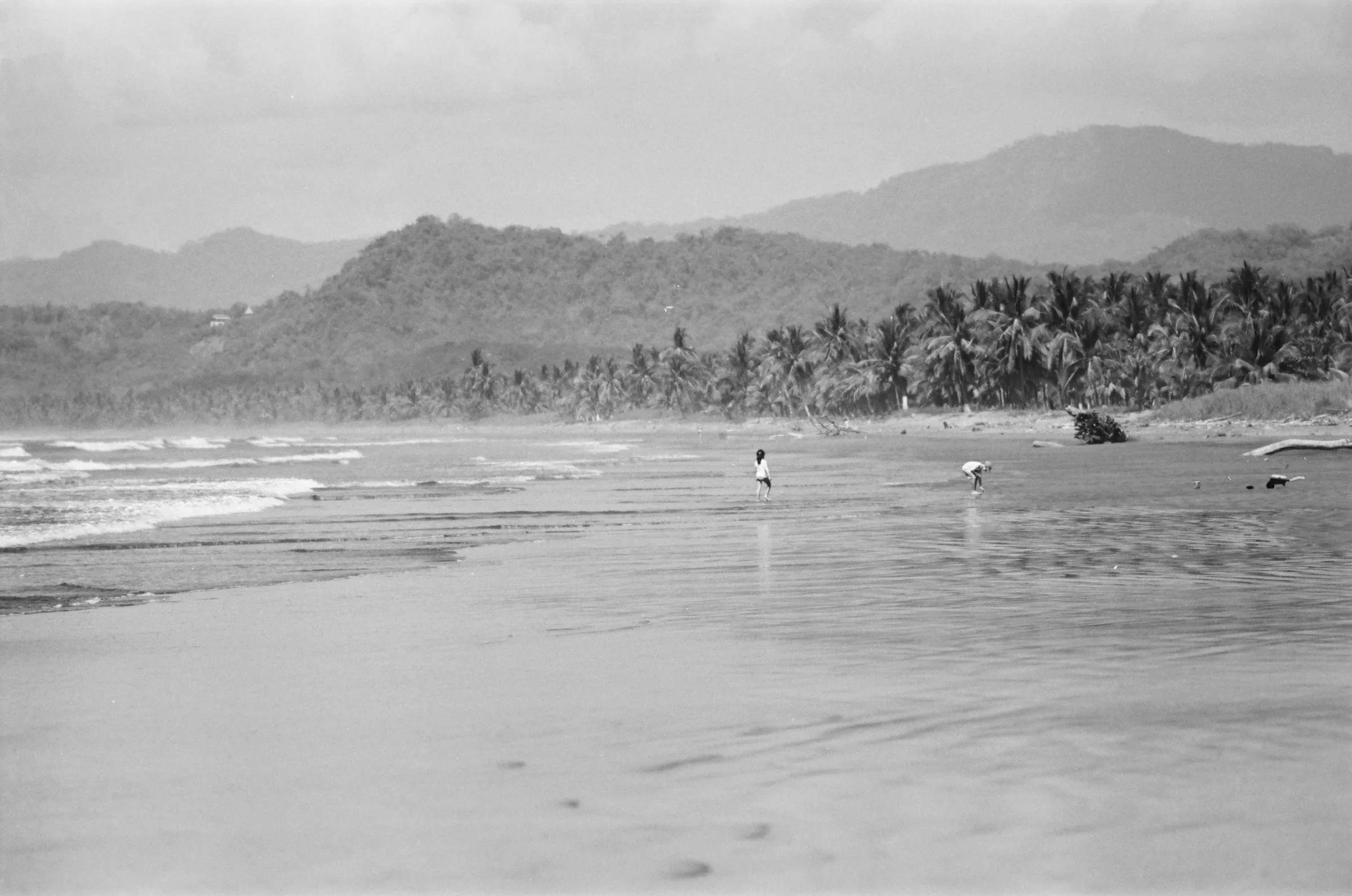 costa-rica-2021, frame 48