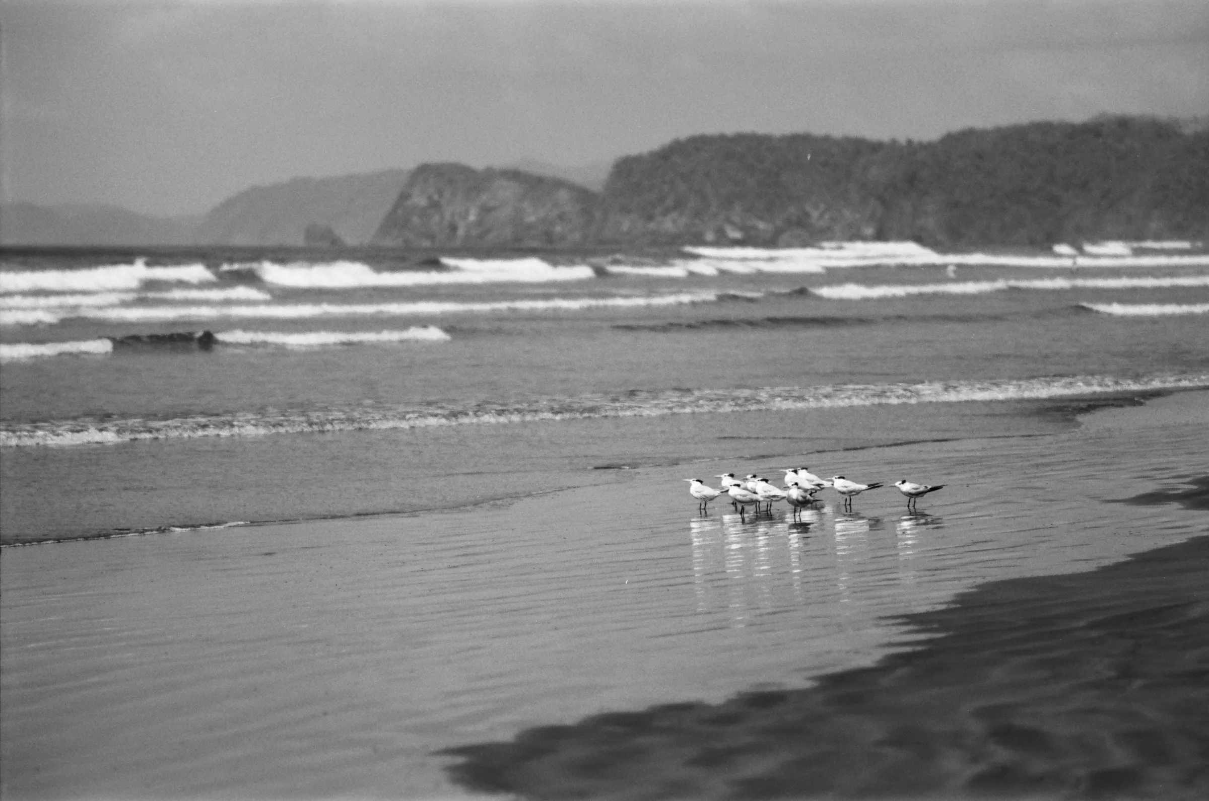 costa-rica-2021, frame 49