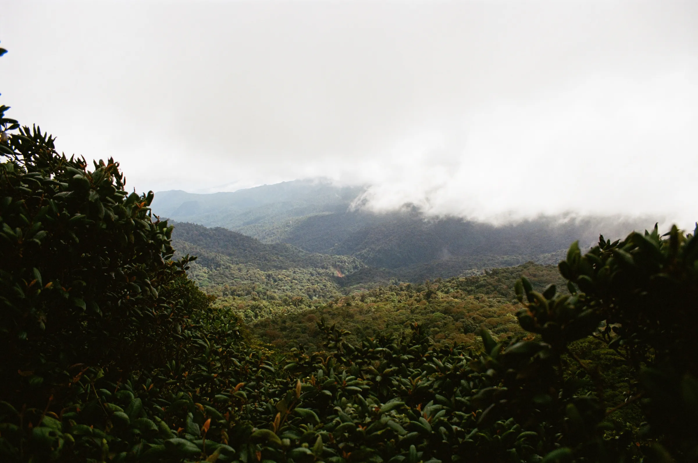 costa-rica-2021, frame 15