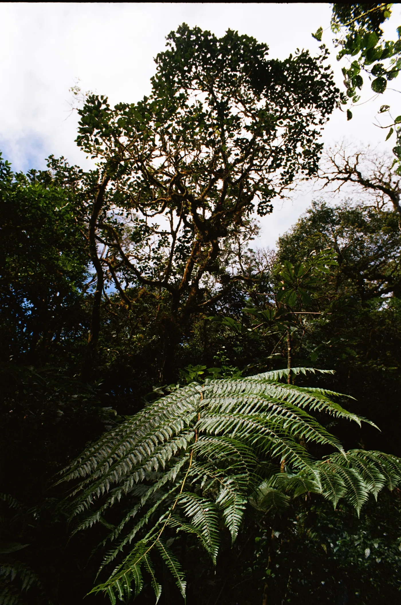 costa-rica-2021, frame 18