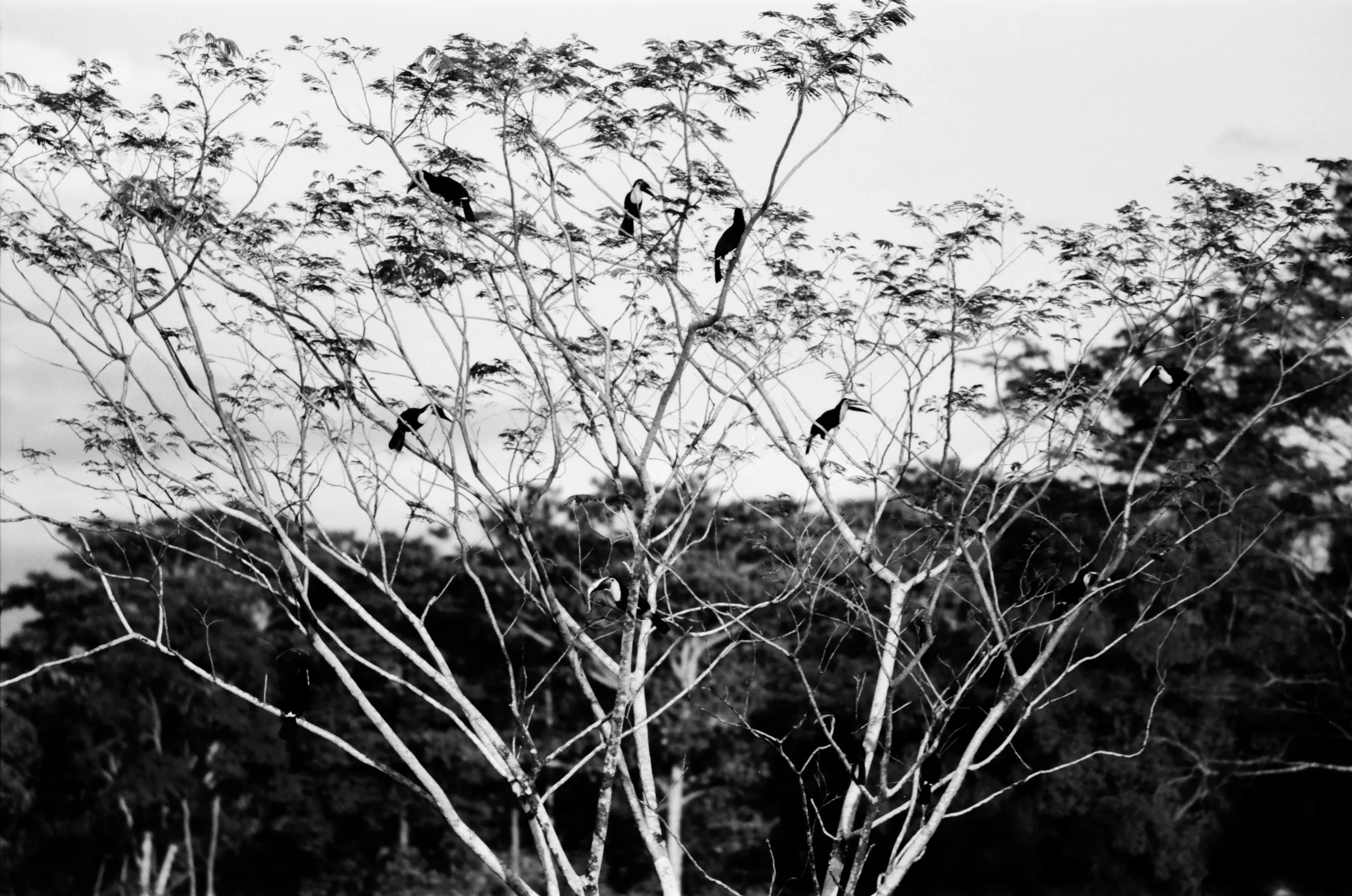 costa-rica-2021, frame 99
