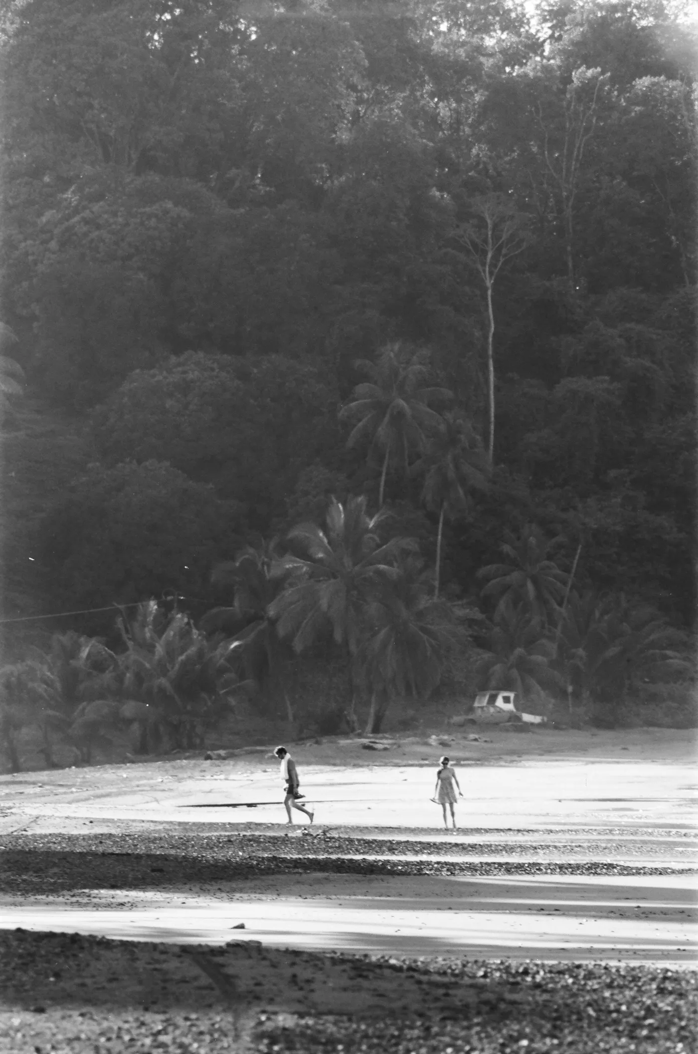 costa-rica-2021, frame 101