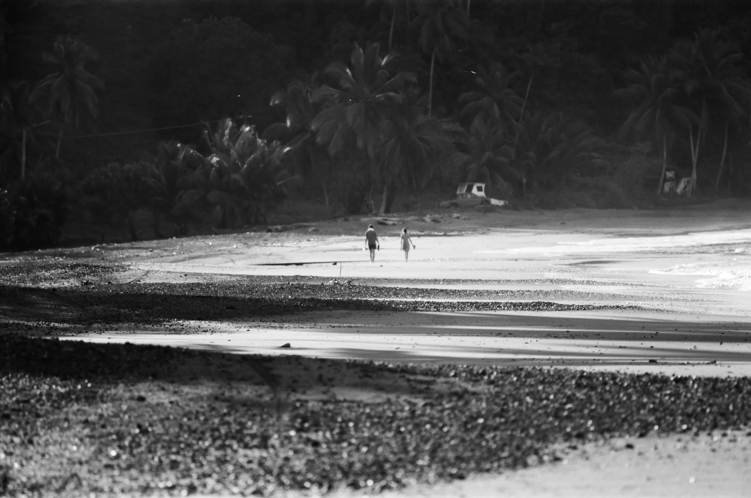 costa-rica-2021, frame 102